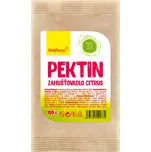 Wolfberry Pektin citrusový 100 g