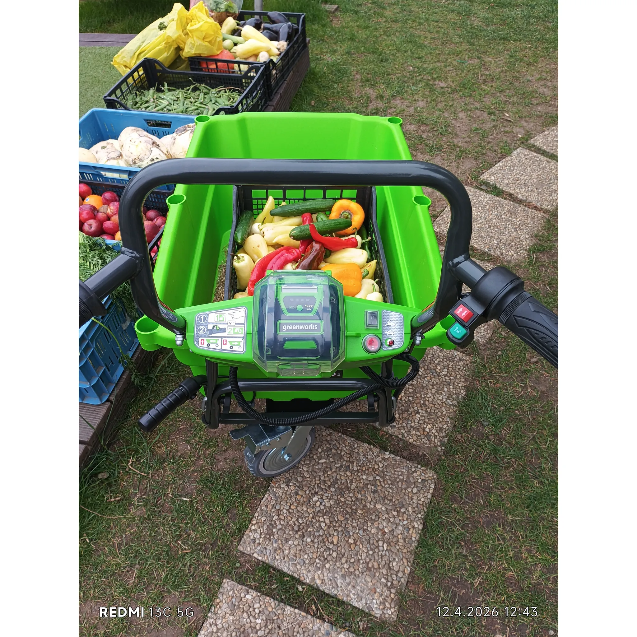 Fotografie 2 -  Greenworks 2932507