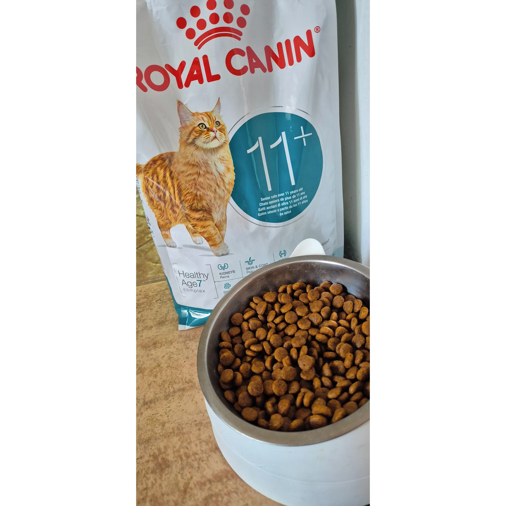 Fotografie 2 - Krmivo pro kočku Royal Canin Cat Ageing 11 Plus 400 g
