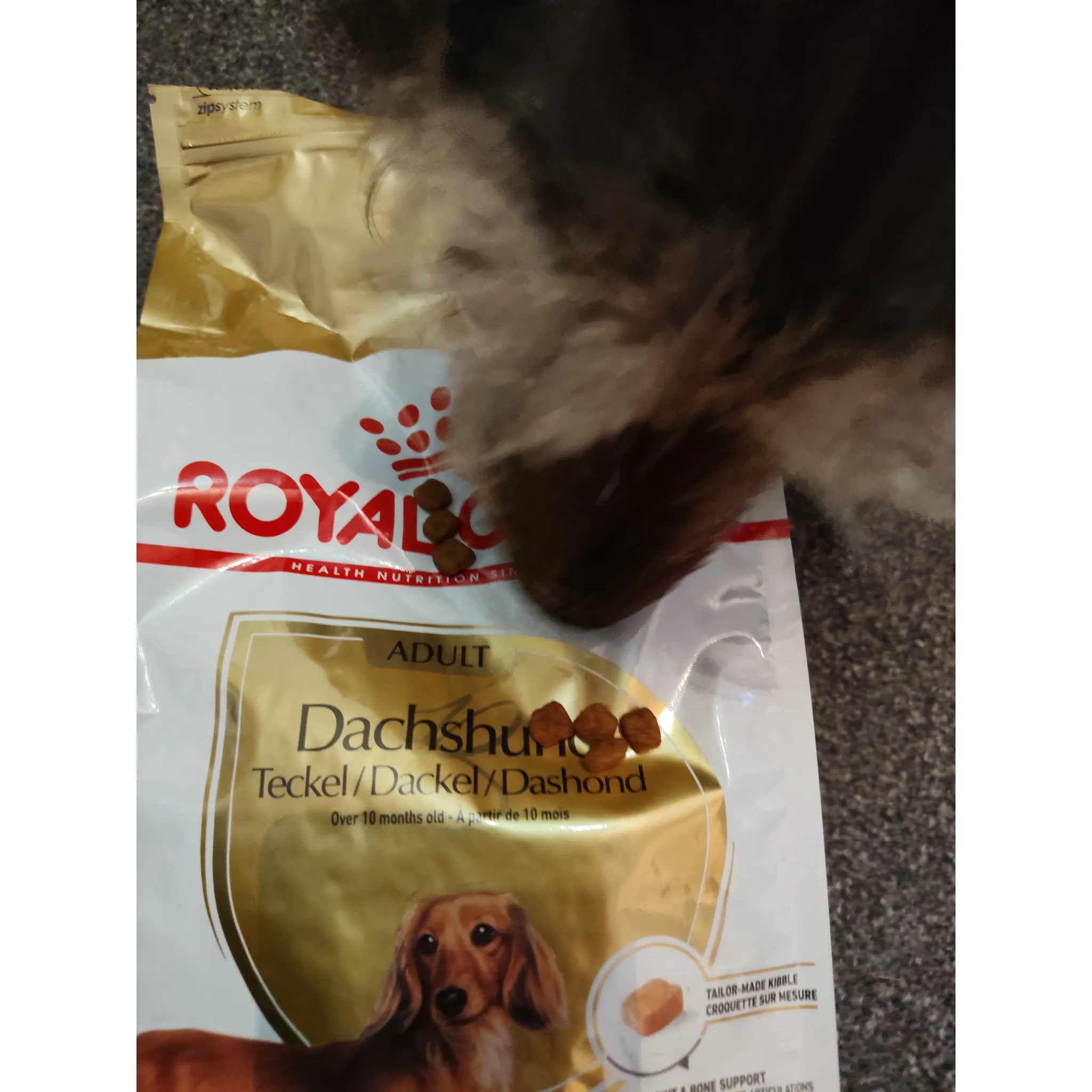 Fotografie 3 - Krmivo pro psa Royal Canin Dachshund Adult 500 g
