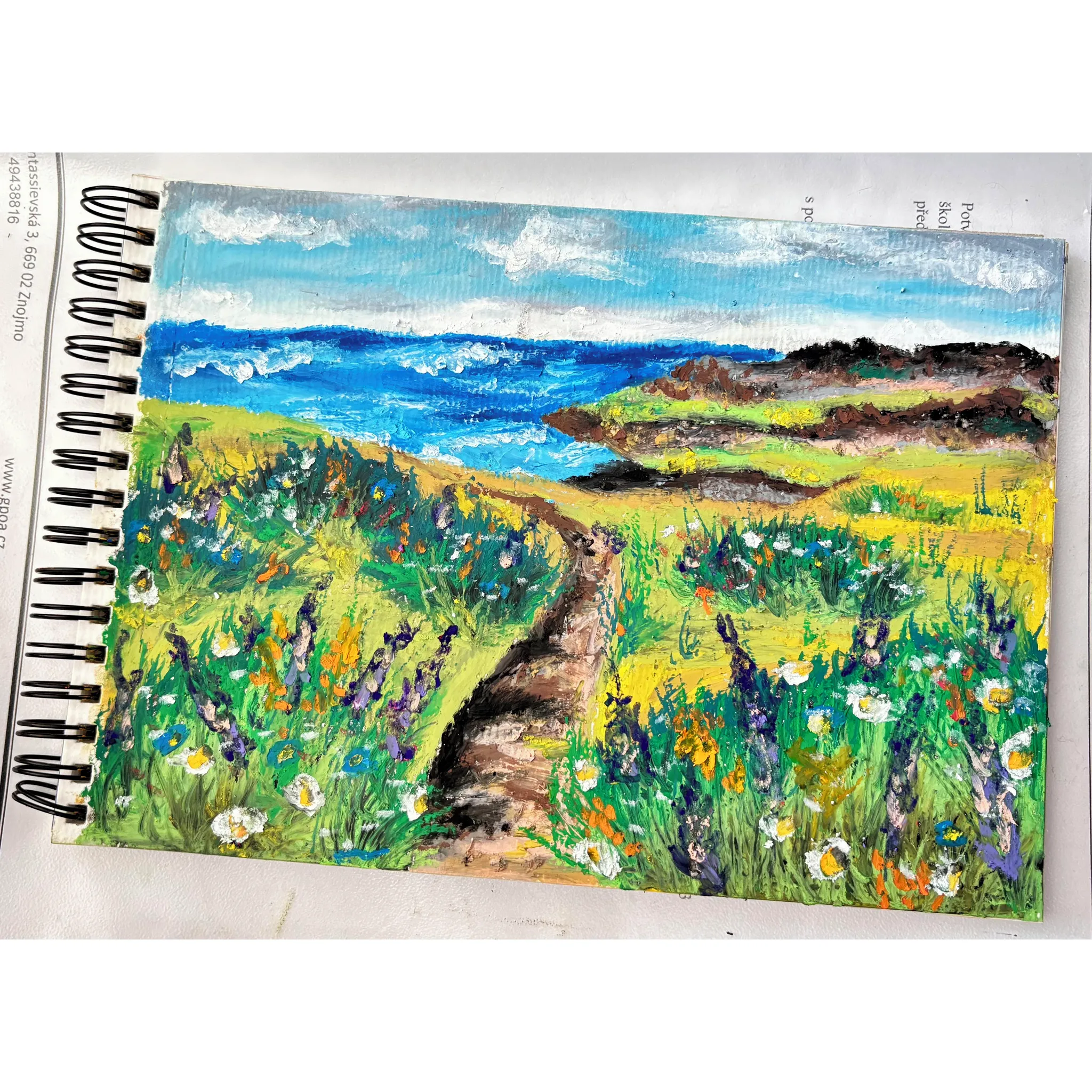 Fotografie 2 -  Mungyo Gallery Soft Oil Pastel 24 ks