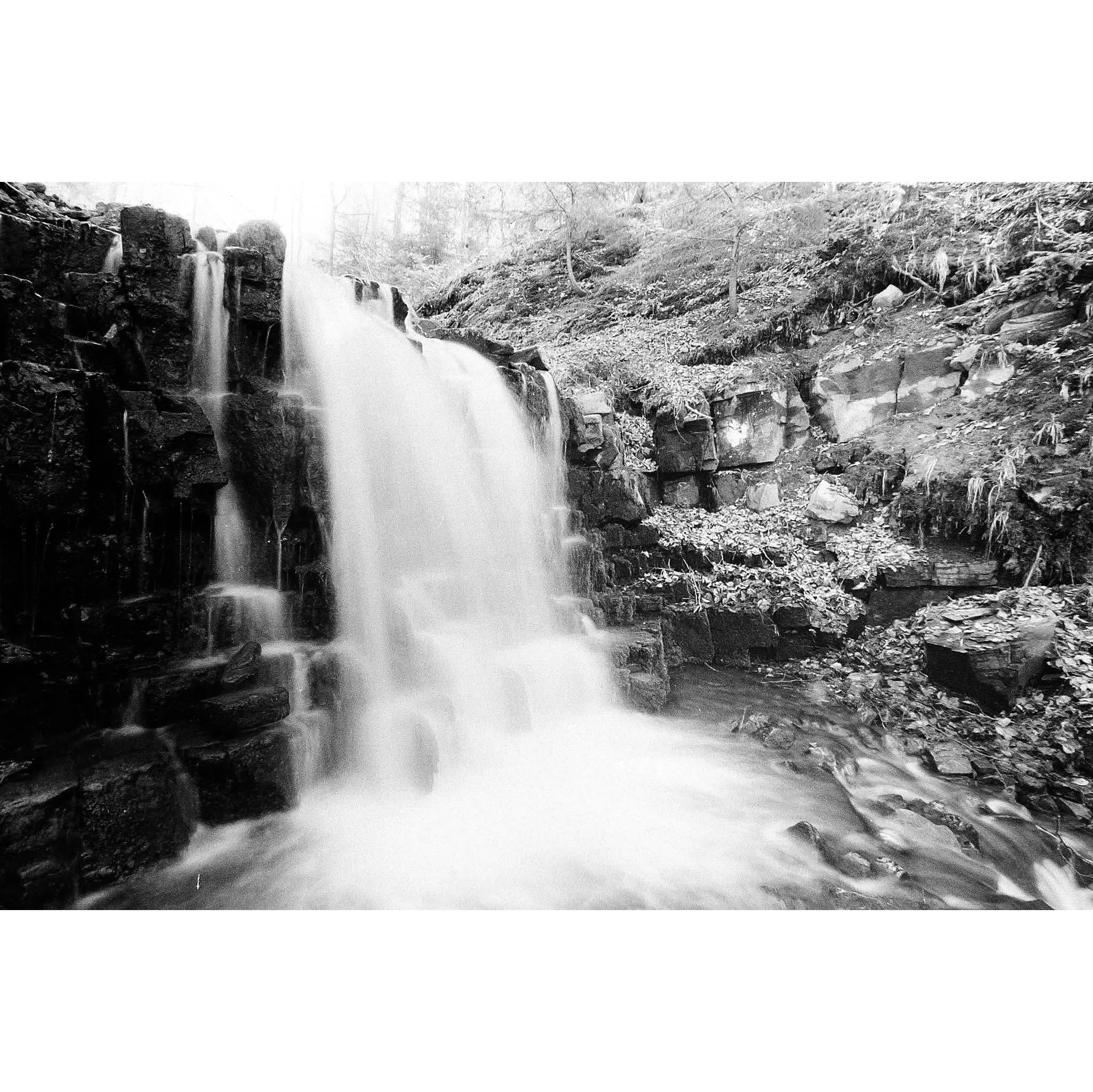 Fotografie 3 -  Ilford Photo Pan F Plus 50/135-36