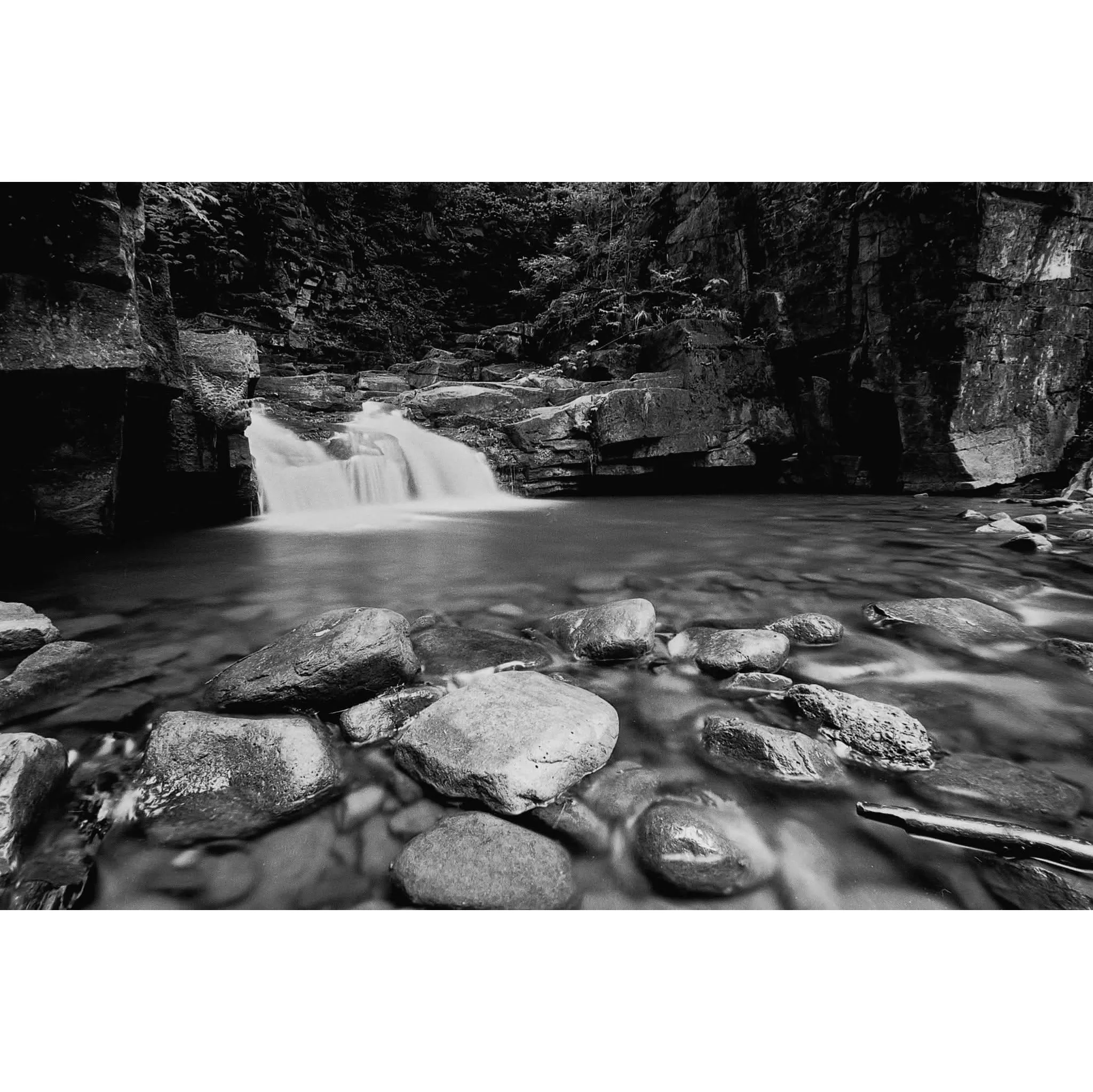 Fotografie 2 -  Ilford Photo Pan F Plus 50/135-36