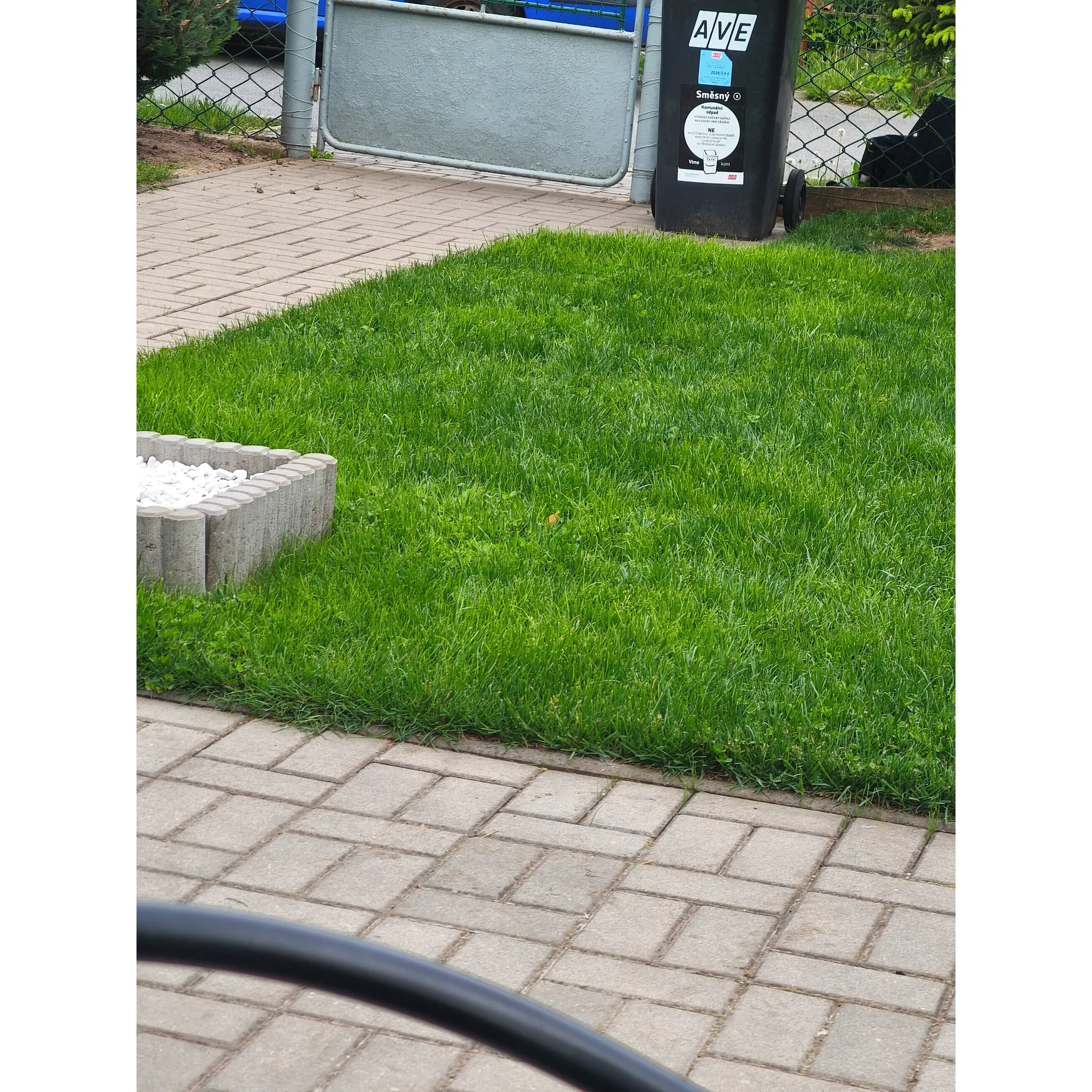 Fotografie 2 - Travní směs Barenbrug RPR 10013B 15 kg