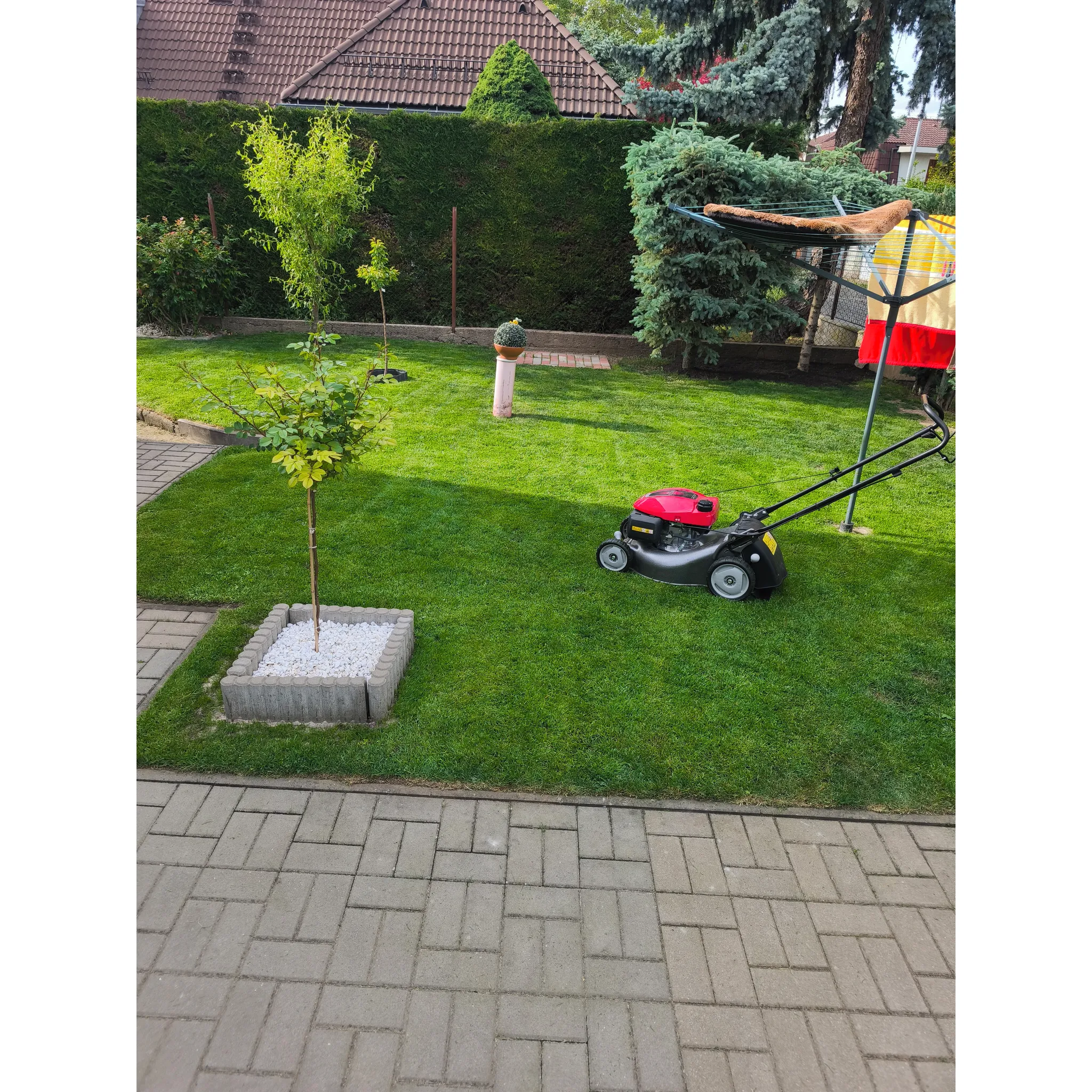 Fotografie 5 - Travní směs Barenbrug RPR 10013B 15 kg