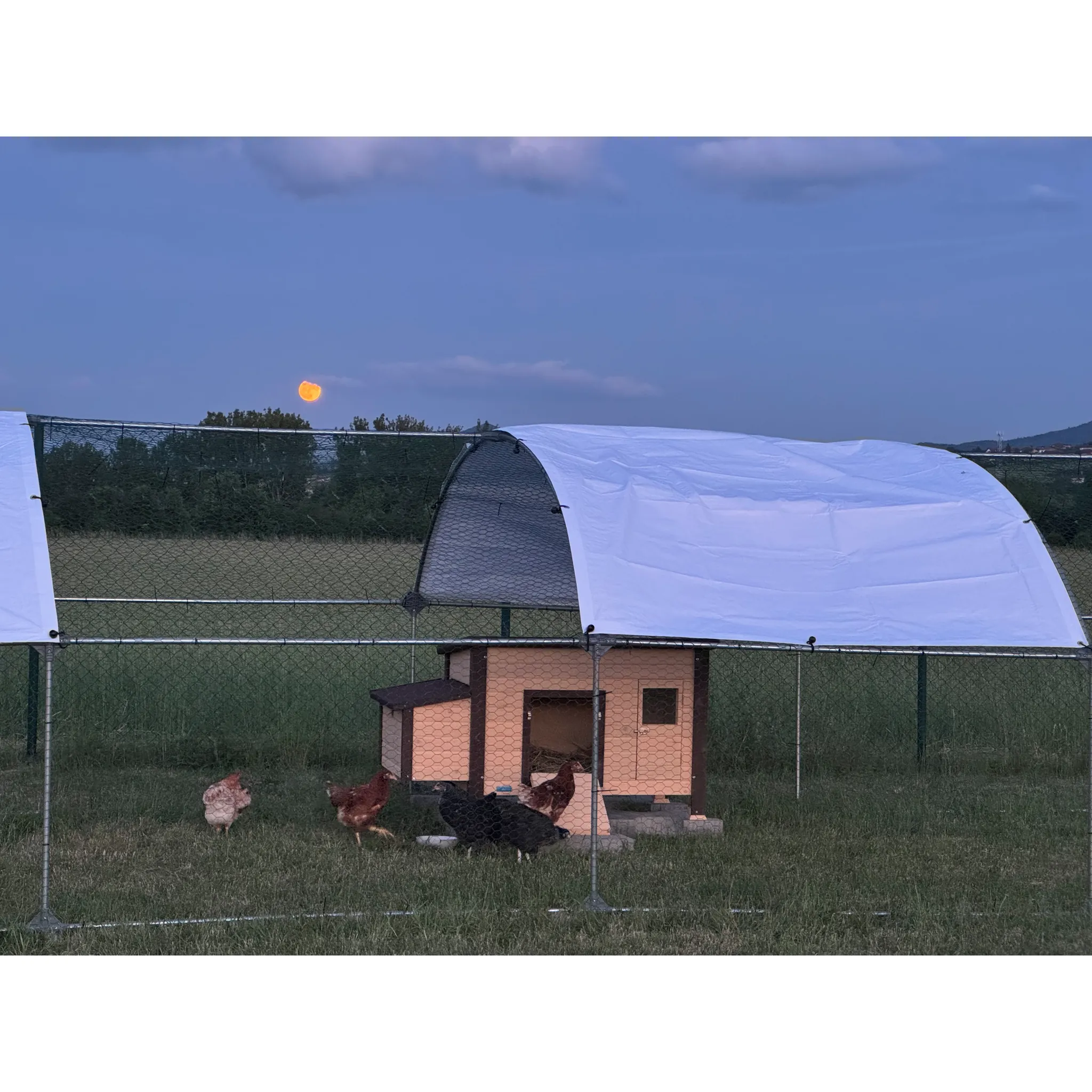 Fotografie 5 - Kurník Kerbl Florentina s výhřevem 146 x 82 x 74 cm