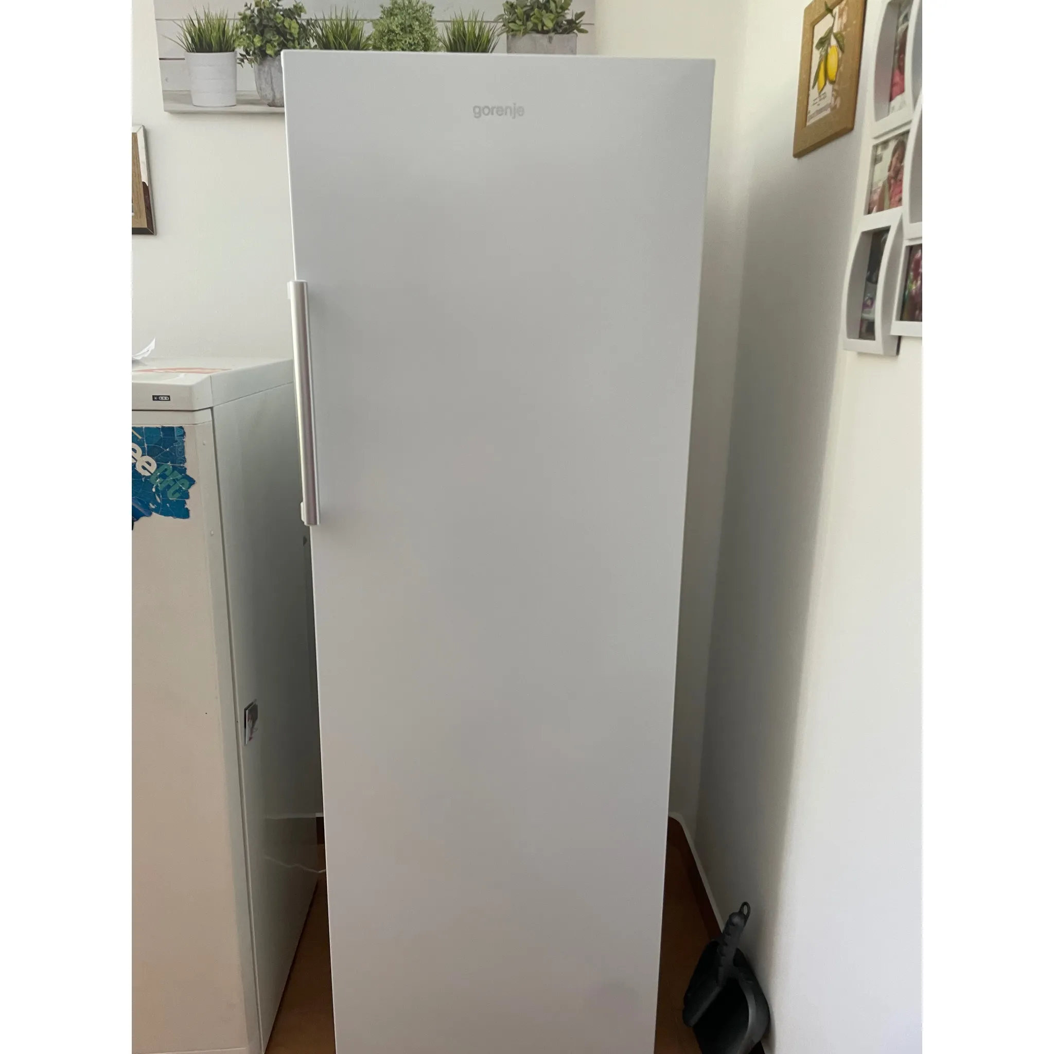 Fotografie 6 - Mraznička Gorenje FN617EEW5