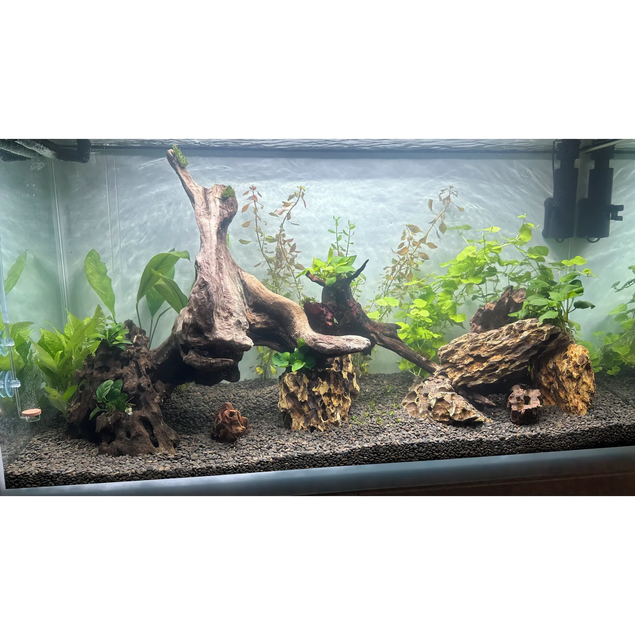 Fotografie 3 - Akvarijní chemie Seachem Clarity 100 ml