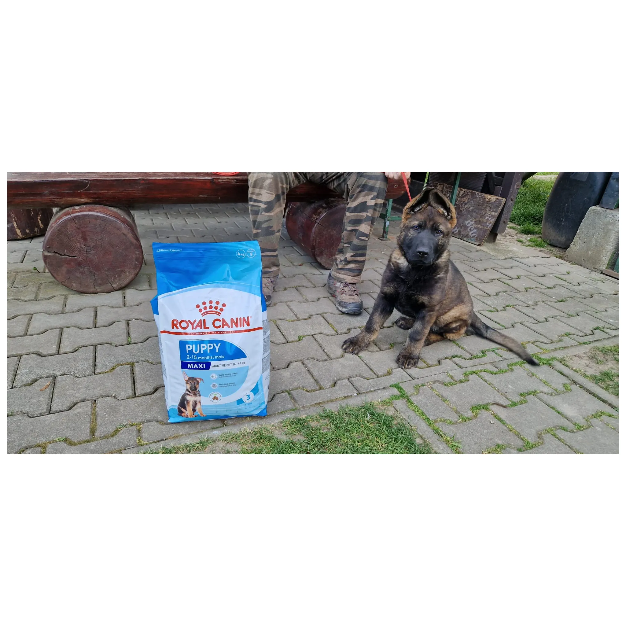 Fotografie 4 - Krmivo pro psa Royal Canin Maxi Puppy Poultry 10 kg