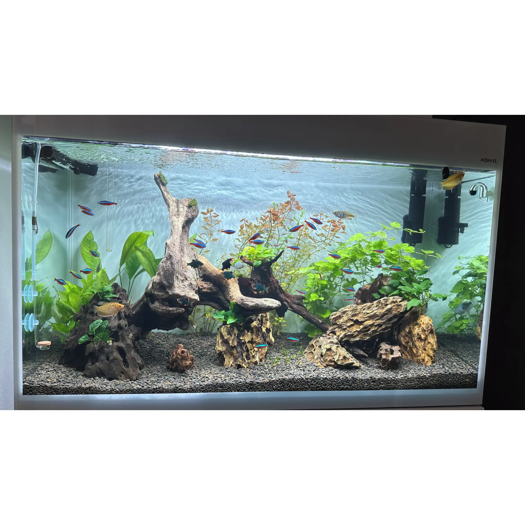 Fotografie 4 - Akvarijní chemie Seachem Clarity 100 ml