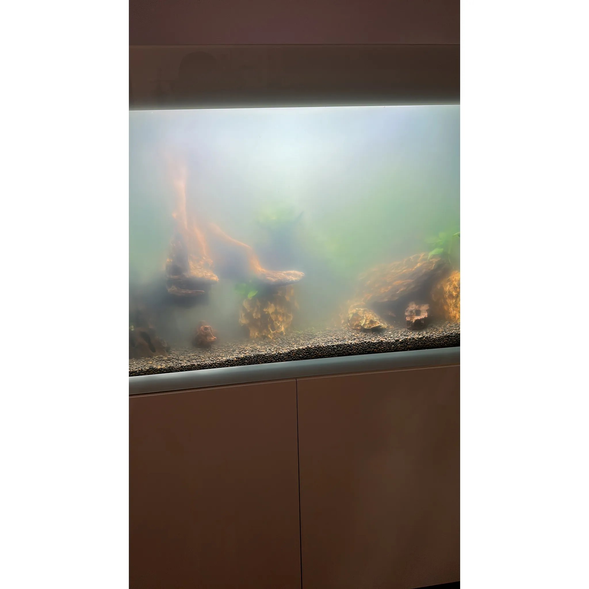 Fotografie 2 - Akvarijní chemie Seachem Clarity 100 ml