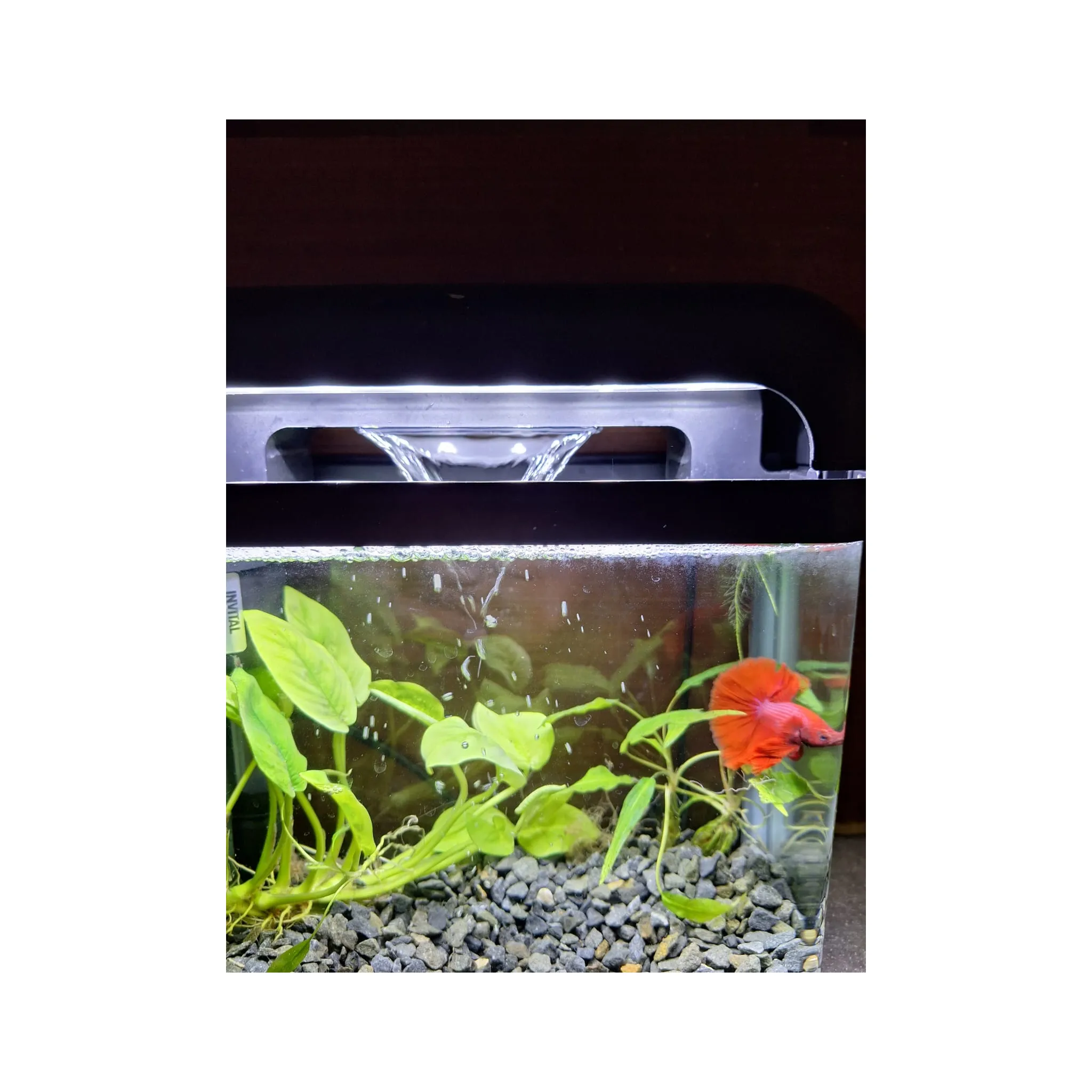 Fotografie 2 - Akvárium Invital EasyTank Cascade LED 7 l černé
