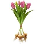 Gasper Umělé tulipány 40 cm světle…