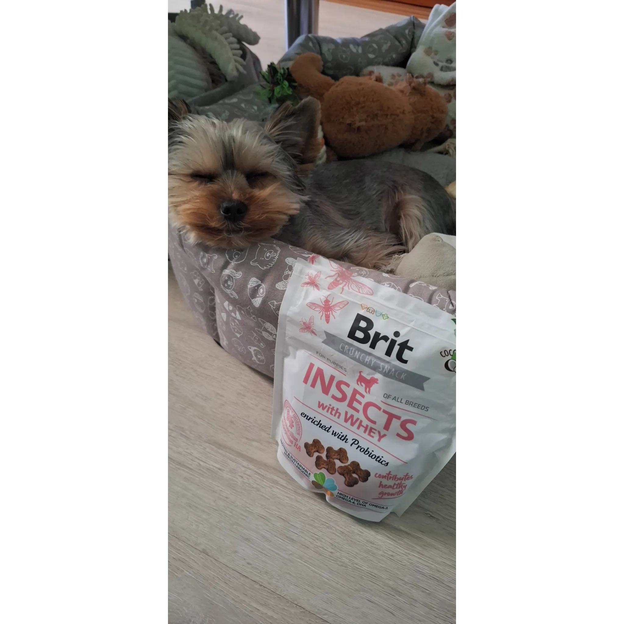 Fotografie 2 - Pamlsek pro psa Brit Care Dog Crunchy Cracker Puppy Insects with Whey 200 g