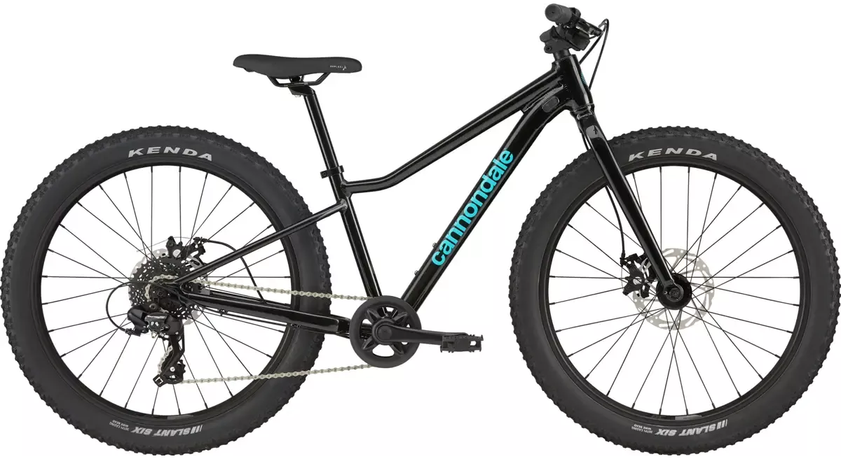 Dětské horské kolo Cannondale Trail Plus 24 barva Black Pearl
