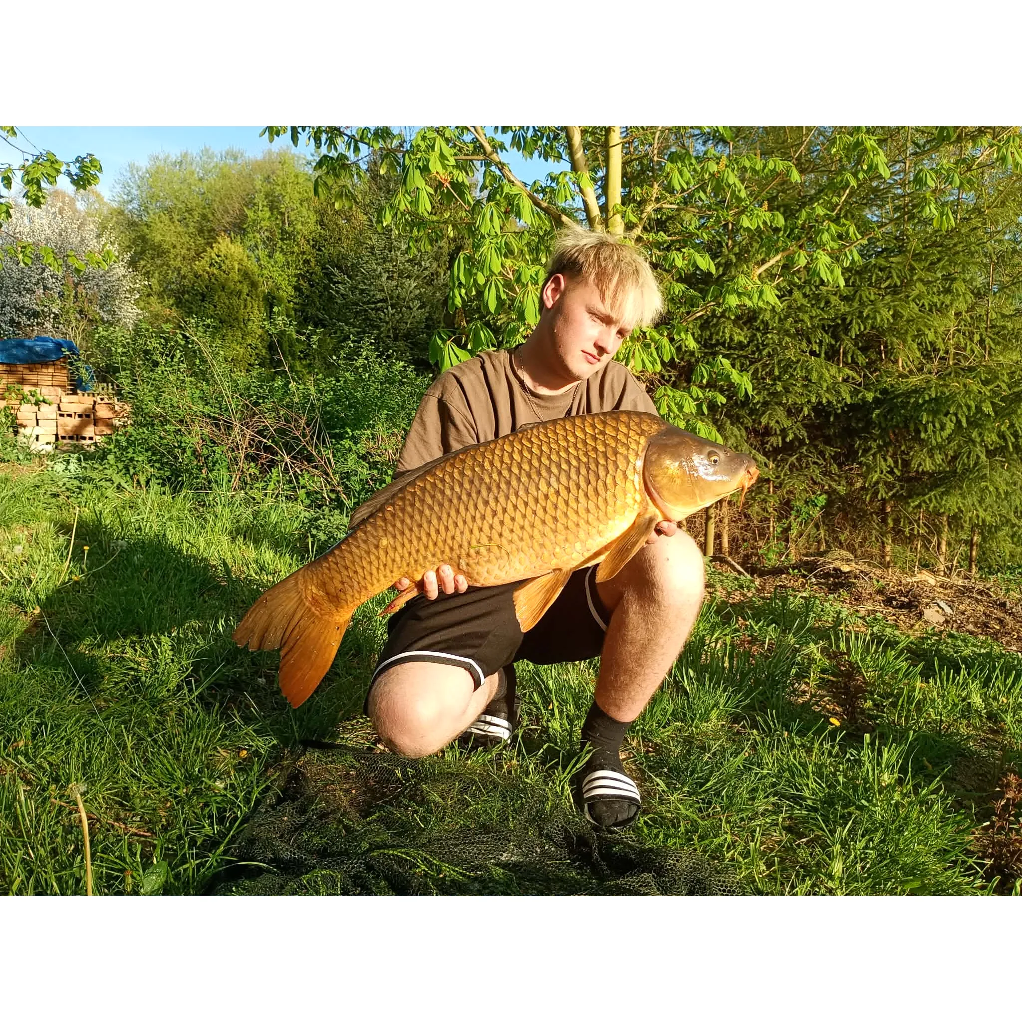 Fotografie 3 - Boilies Carp Inferno Pop-Up Boilies 16 mm/150 ml Ananas/Švestka