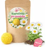 Lipoo Kopretinku pro maminku květinová…