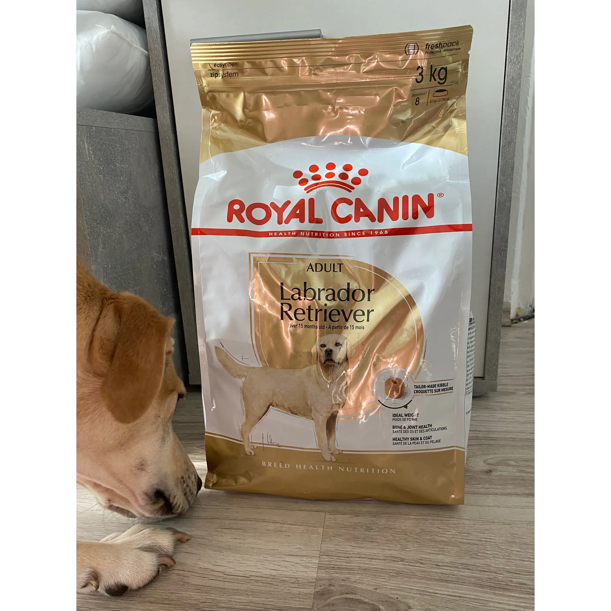 Fotografie 3 - Krmivo pro psa Royal Canin Labrador Retriever Adult 12 kg