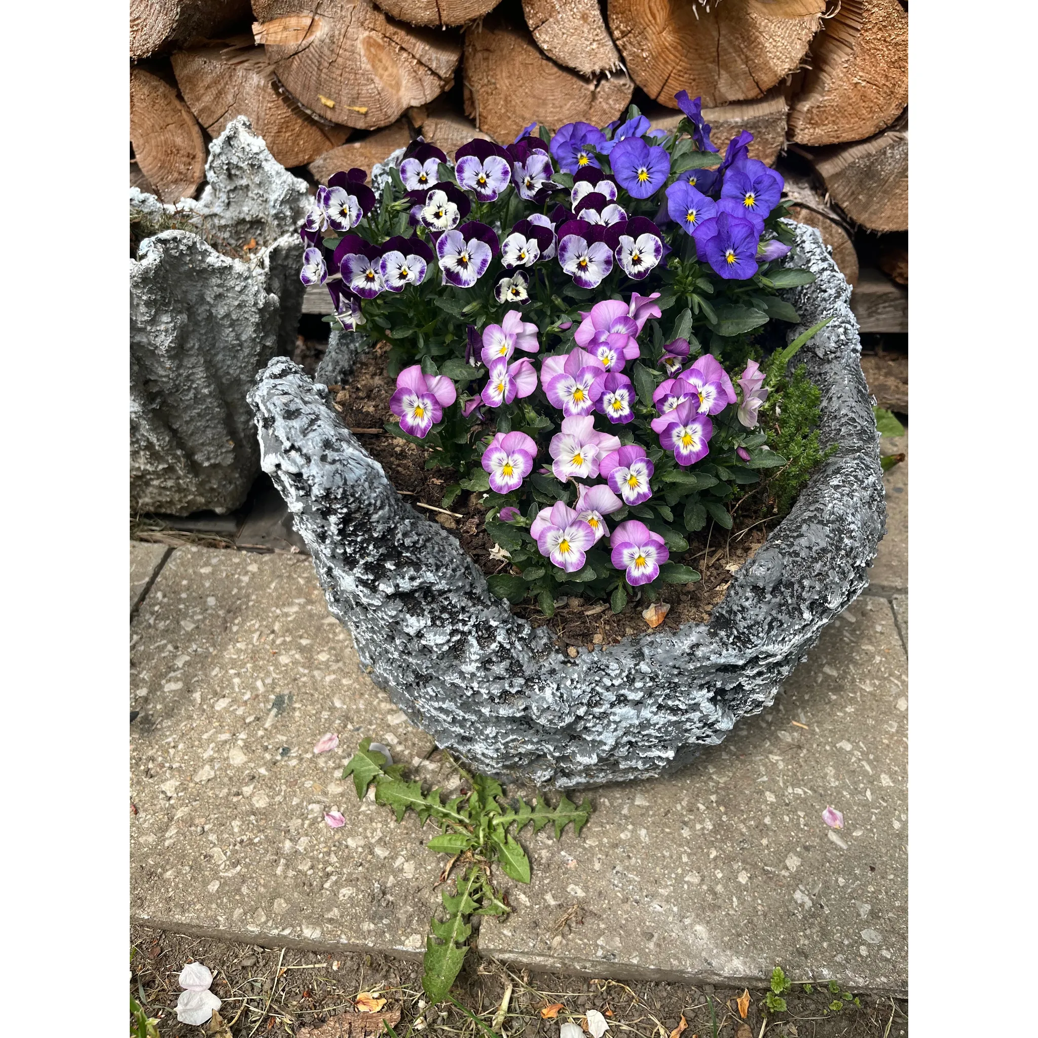 Fotografie 2 - Penetrace Den Braven Asfaltový penetrační lak DenBit BR-ALP 9 kg