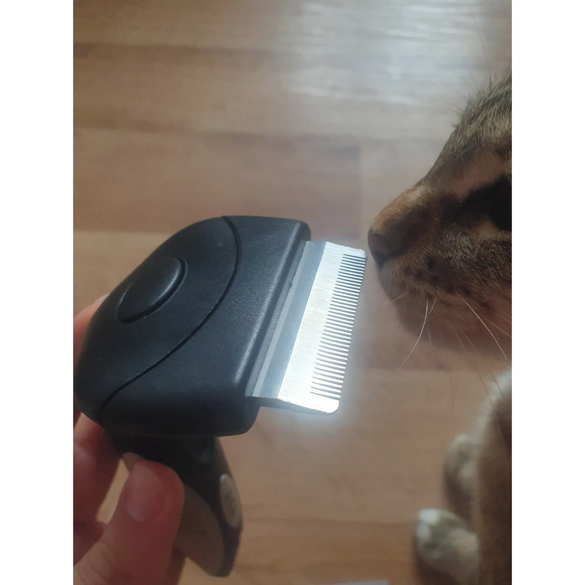 Fotografie 3 - Kartáč pro zvířata KAY Hřeben vyčesávací kovový S