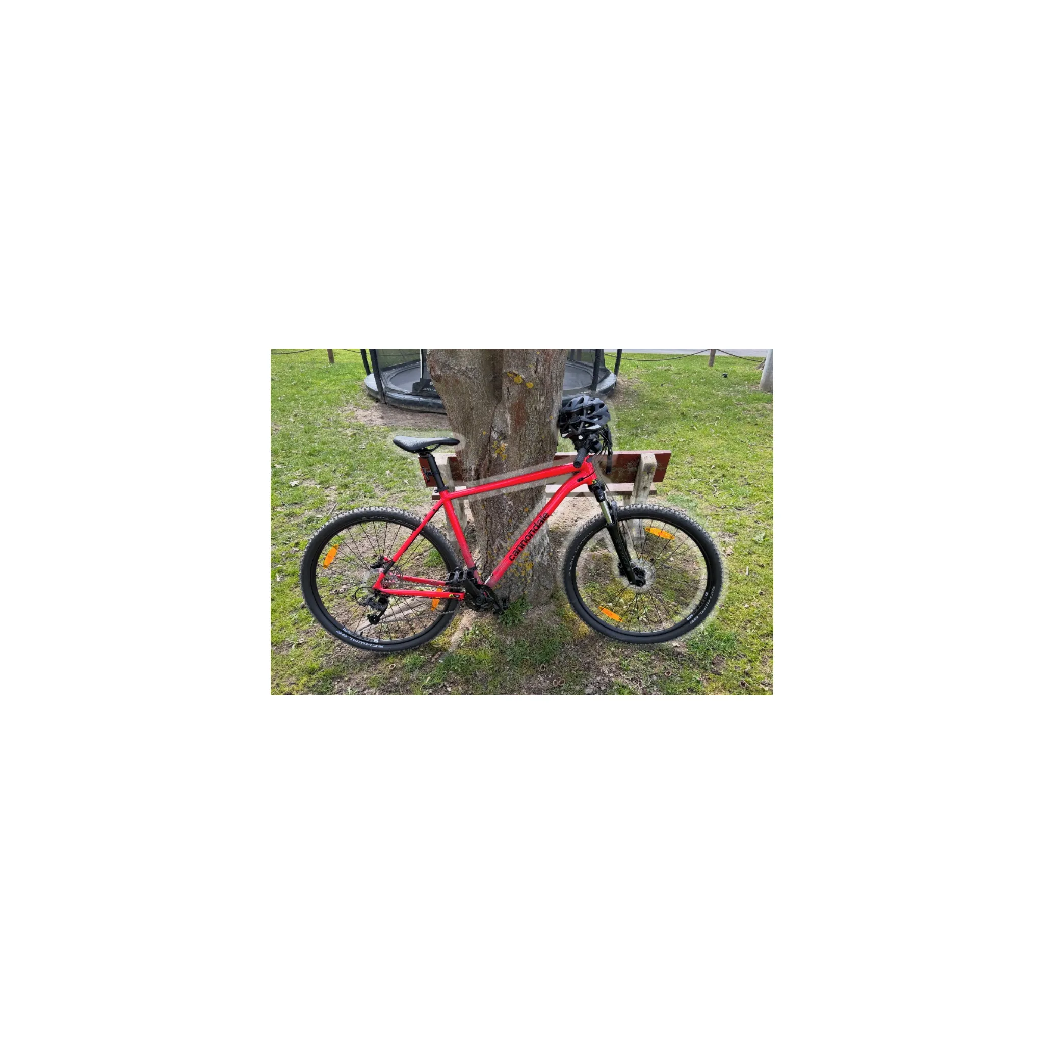 Fotografie 6 - Horské kolo Cannondale Trail 7 29" Rally Red 2022 XL
