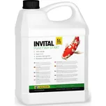 Invital Pond Filter Start