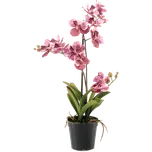 Orchidej umělá 60 cm růžová