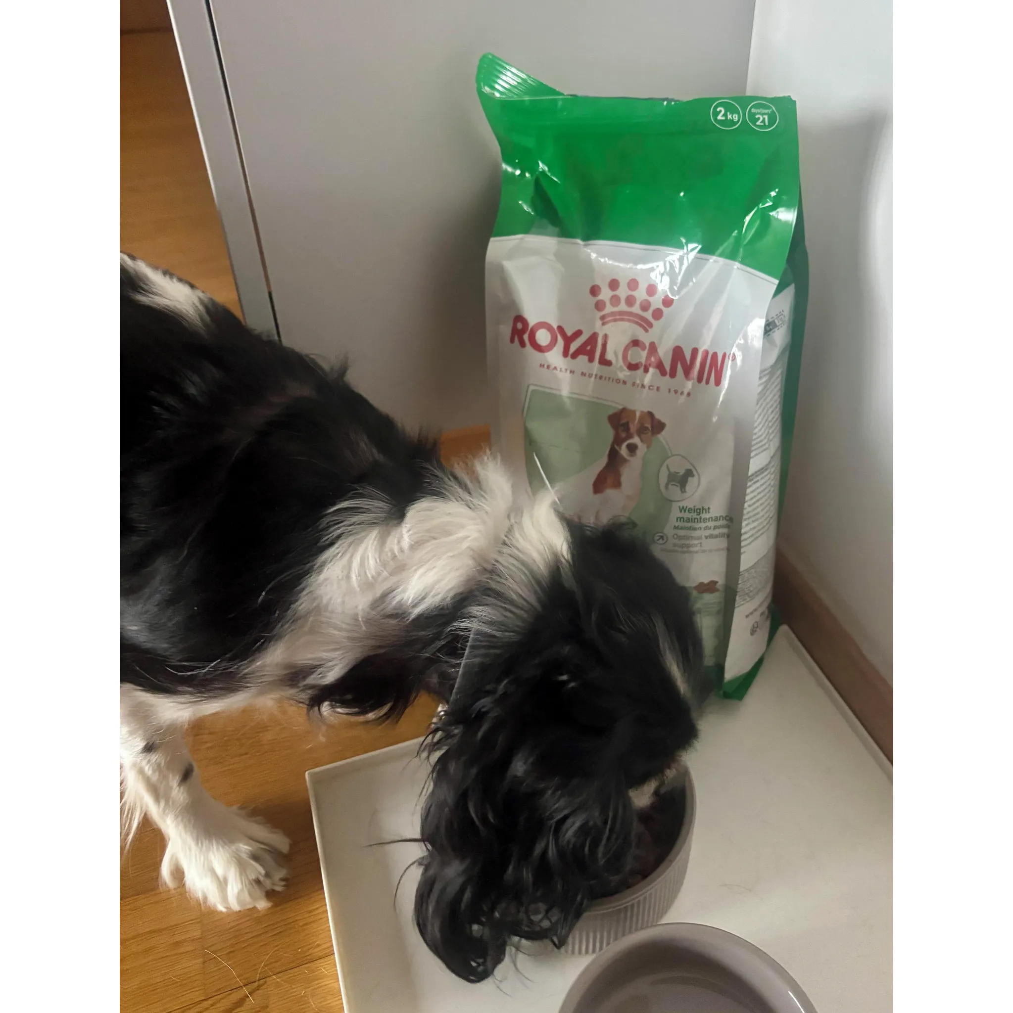 Fotografie 5 - Krmivo pro psa Royal Canin Mini Mature +8 2 kg