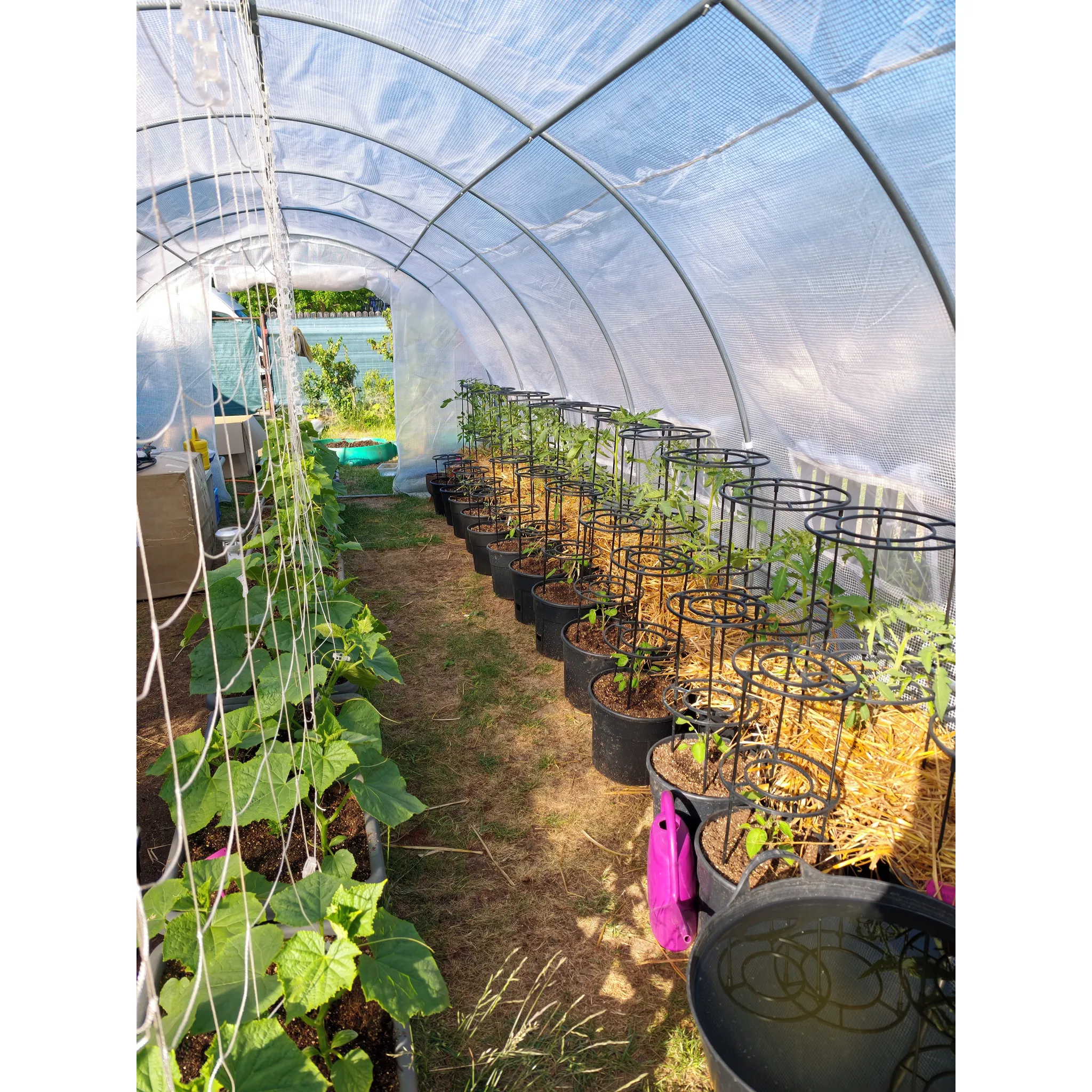 Fotografie 5 - Květináč Prosperplast Tomato Grower 29,5 cm antracitový