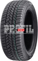 PROFIL PRO SNOW 790 205/55 R16 91H
