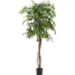 Kave Home Ficus 180 cm zelený