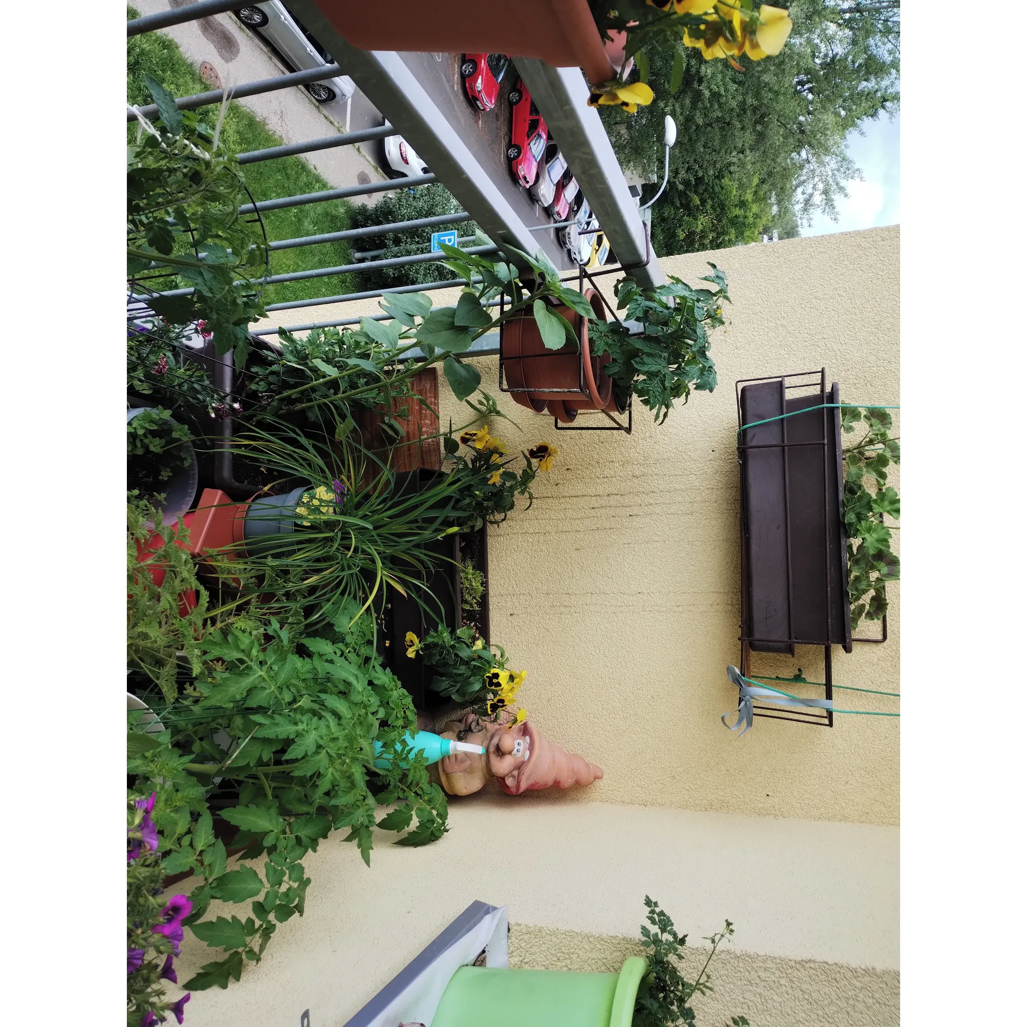 Fotografie 4 - Truhlík Nohel Garden Lebiš 51 cm hnědý