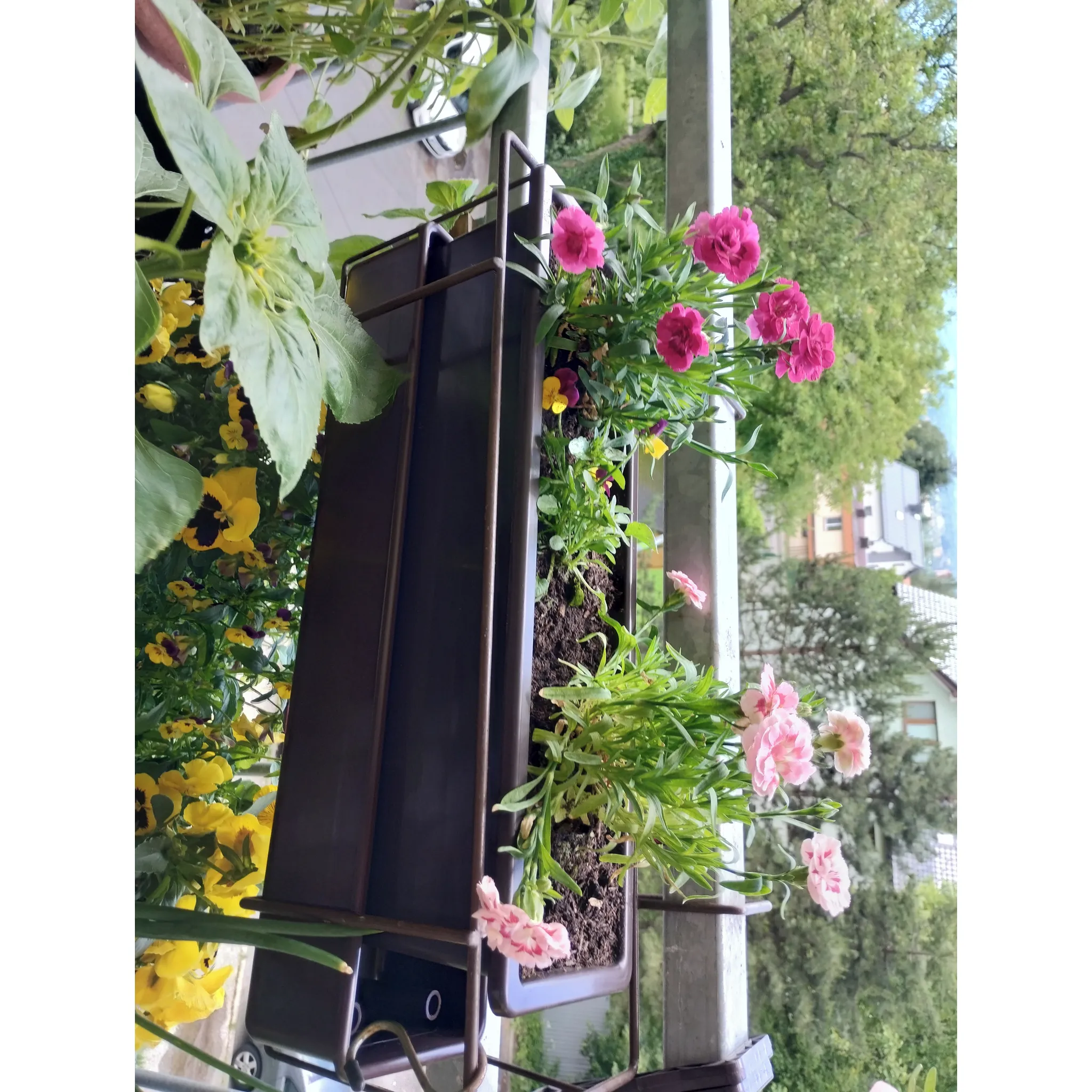 Fotografie 3 - Truhlík Nohel Garden Lebiš 51 cm hnědý