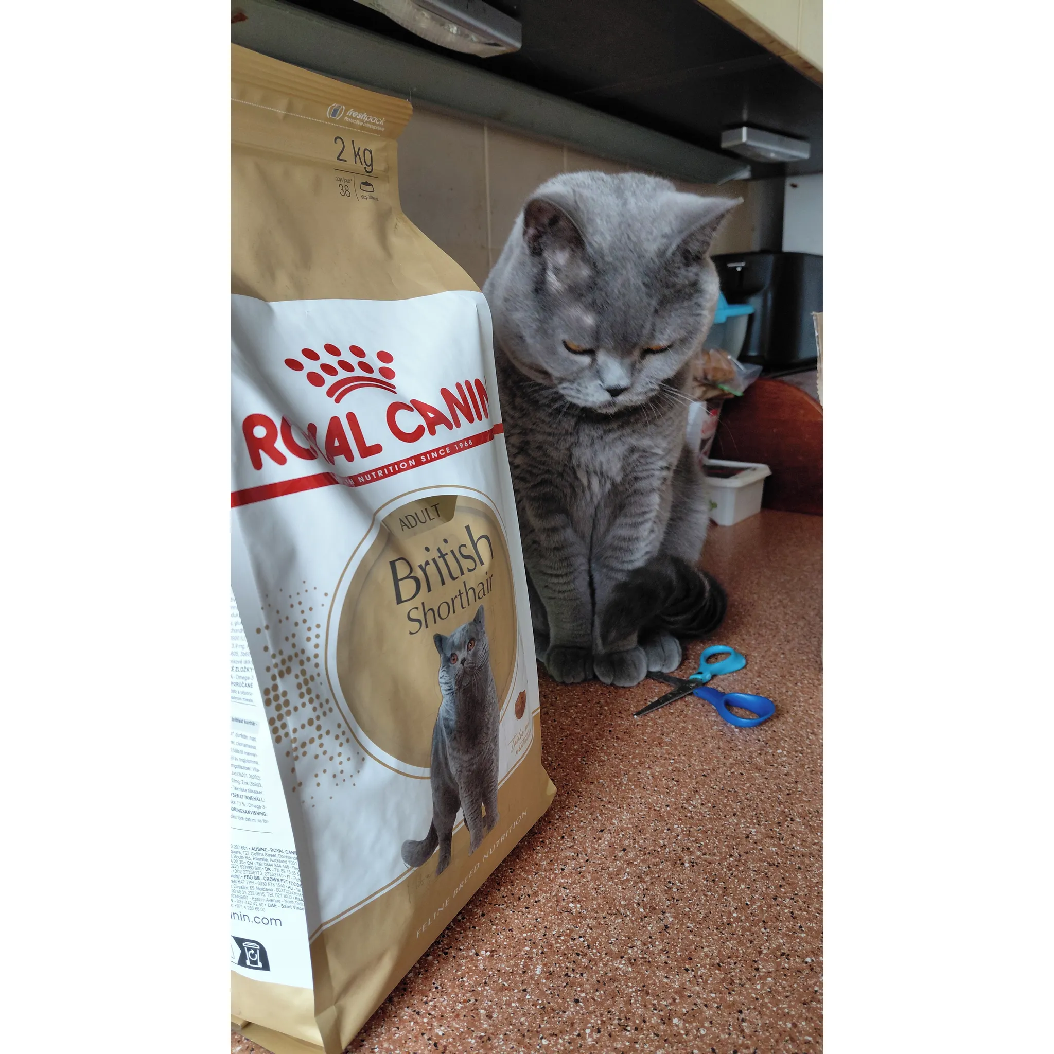 Fotografie 3 - Krmivo pro kočku Royal Canin British Shorthair Adult granule 2 kg