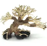 Invital Bonsai Driftwood No.28 Z07785…