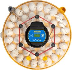 BRINSEA Maxi 48 Advance - automatická líheň pro slepice a husy