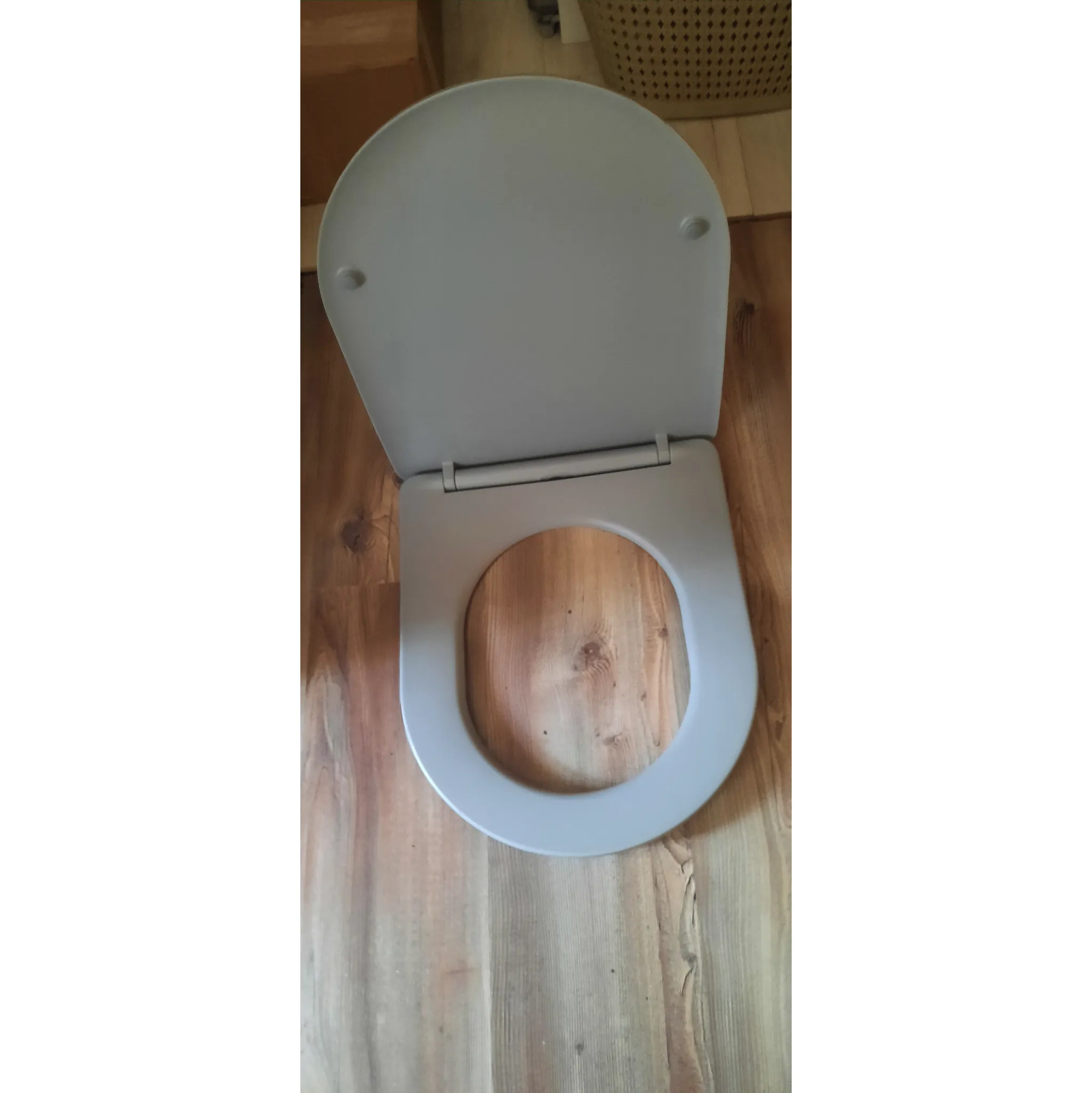 Fotografie 4 - WC sedátko SAPHO Paco PCS1012GR