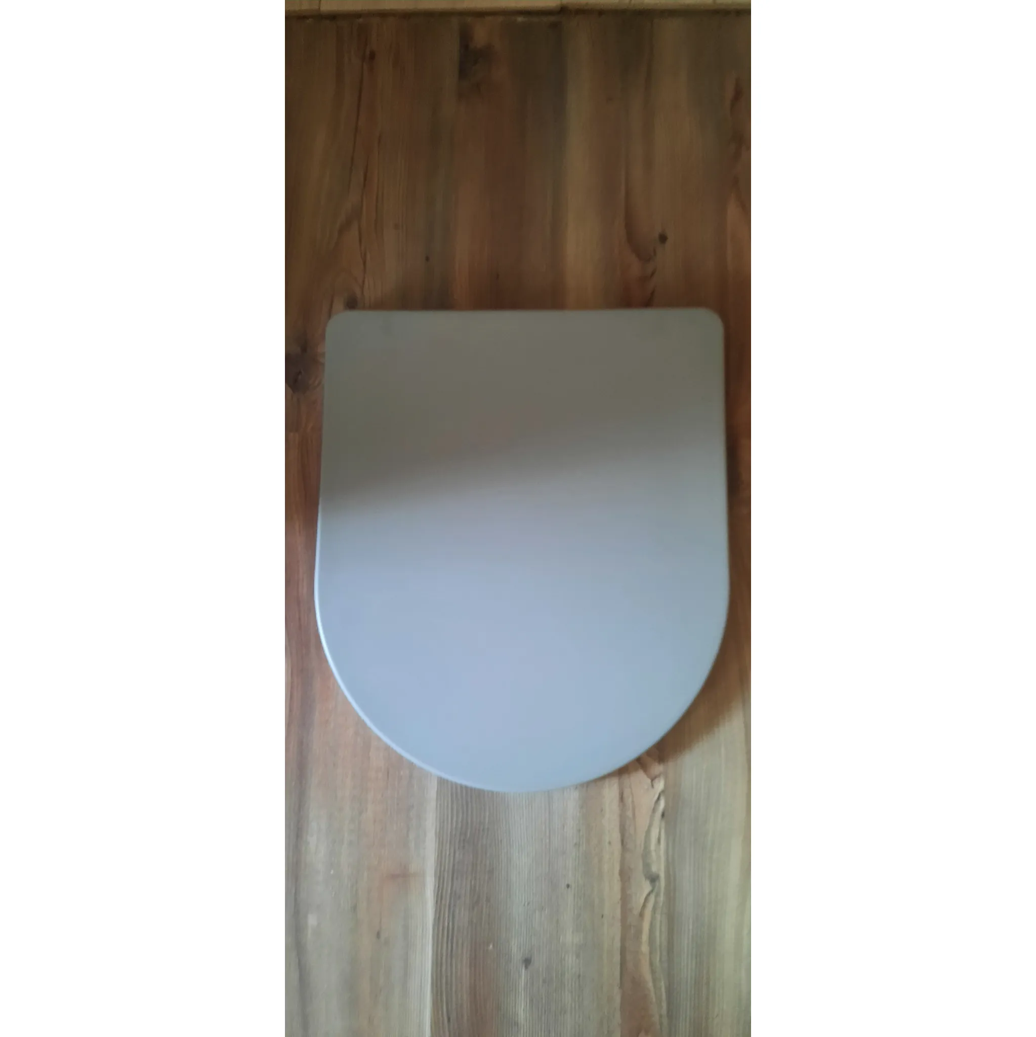 Fotografie 2 - WC sedátko SAPHO Paco PCS1012GR