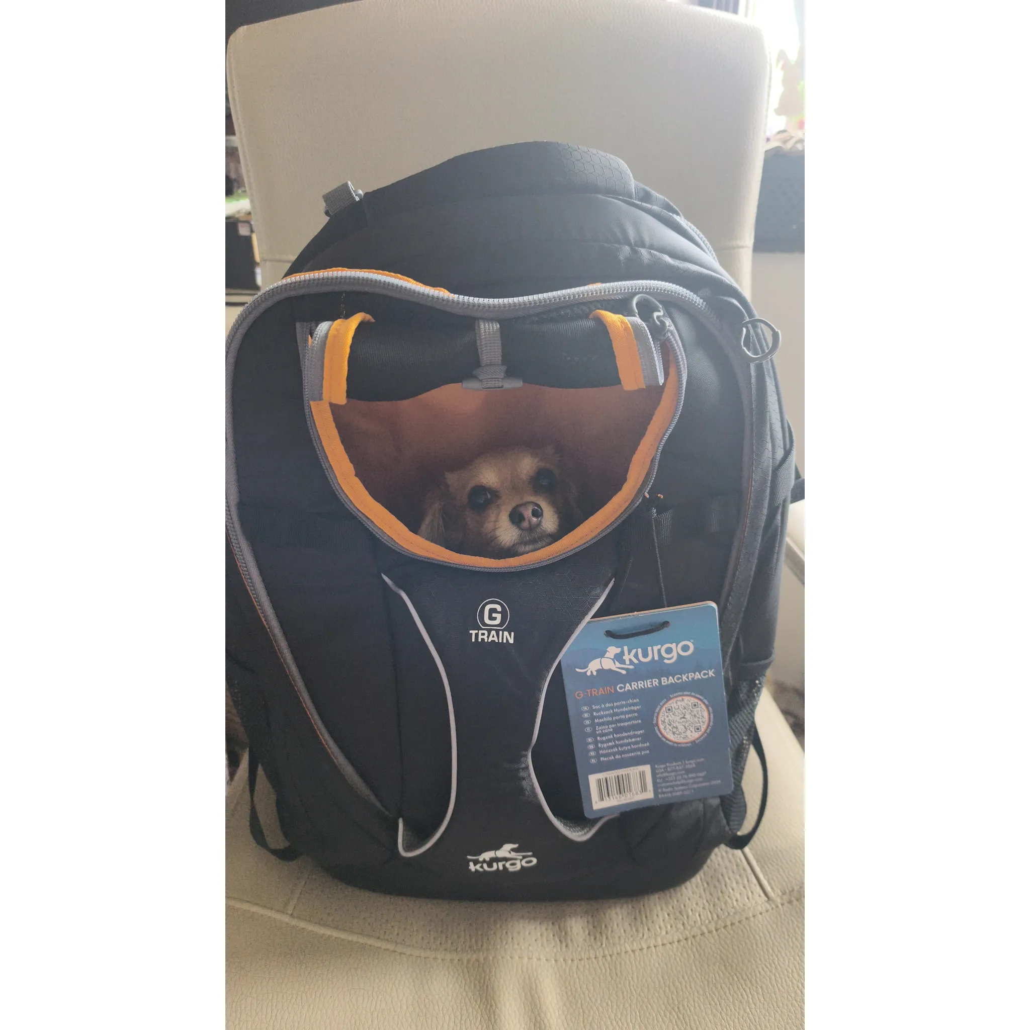 Fotografie 4 - Psí batoh Kurgo G-Train Dog Carrier Backpack 53,34 x 33,02 x 25,4 cm tmavě modrý