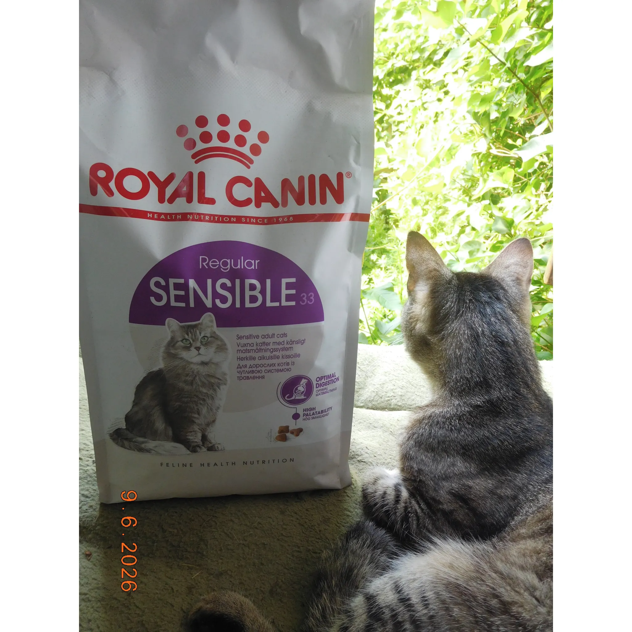 Fotografie 2 - Krmivo pro kočku Royal Canin Sensible 33 10 kg