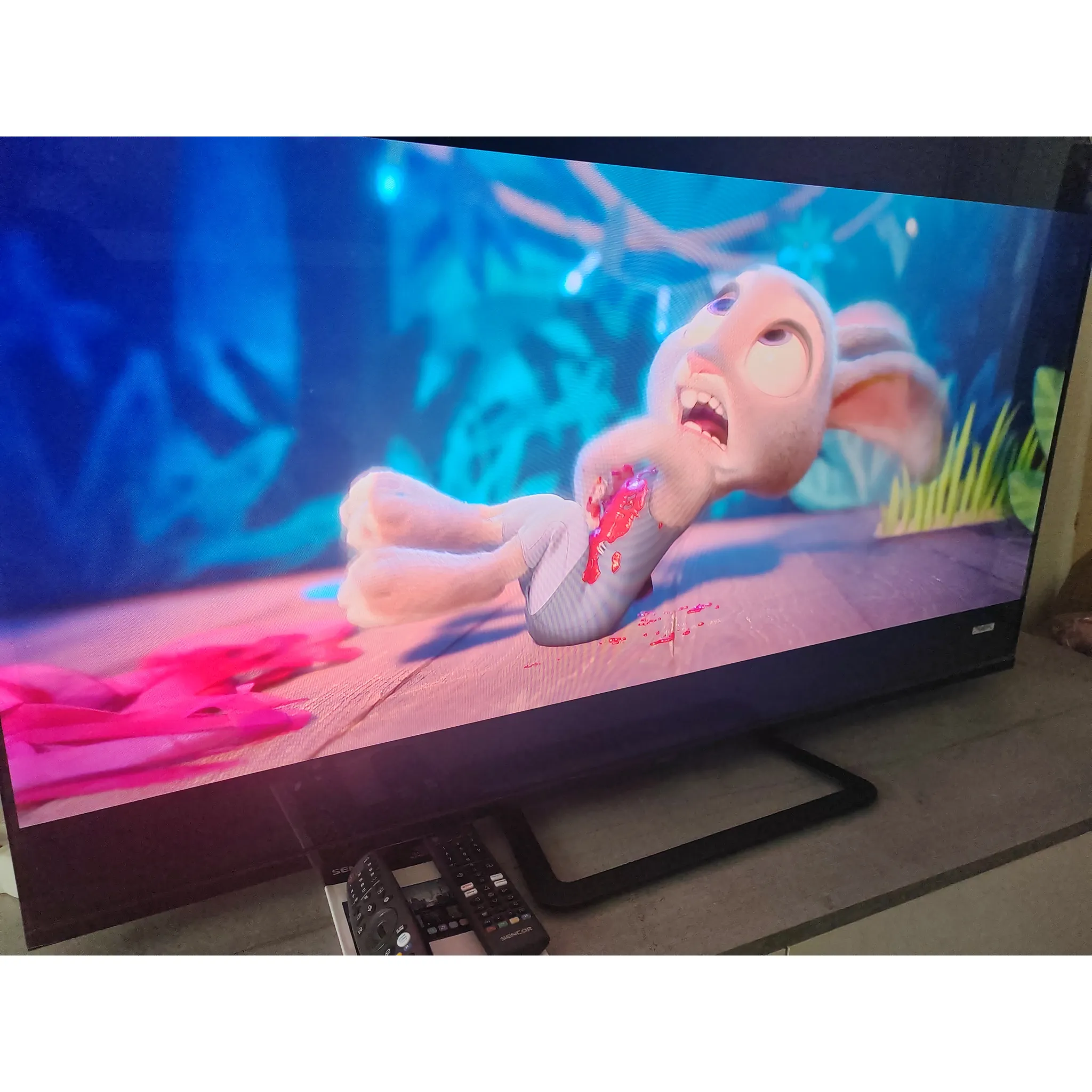 Fotografie 25 - Televizor Sencor 65" QLED (SLE 65Q871B)