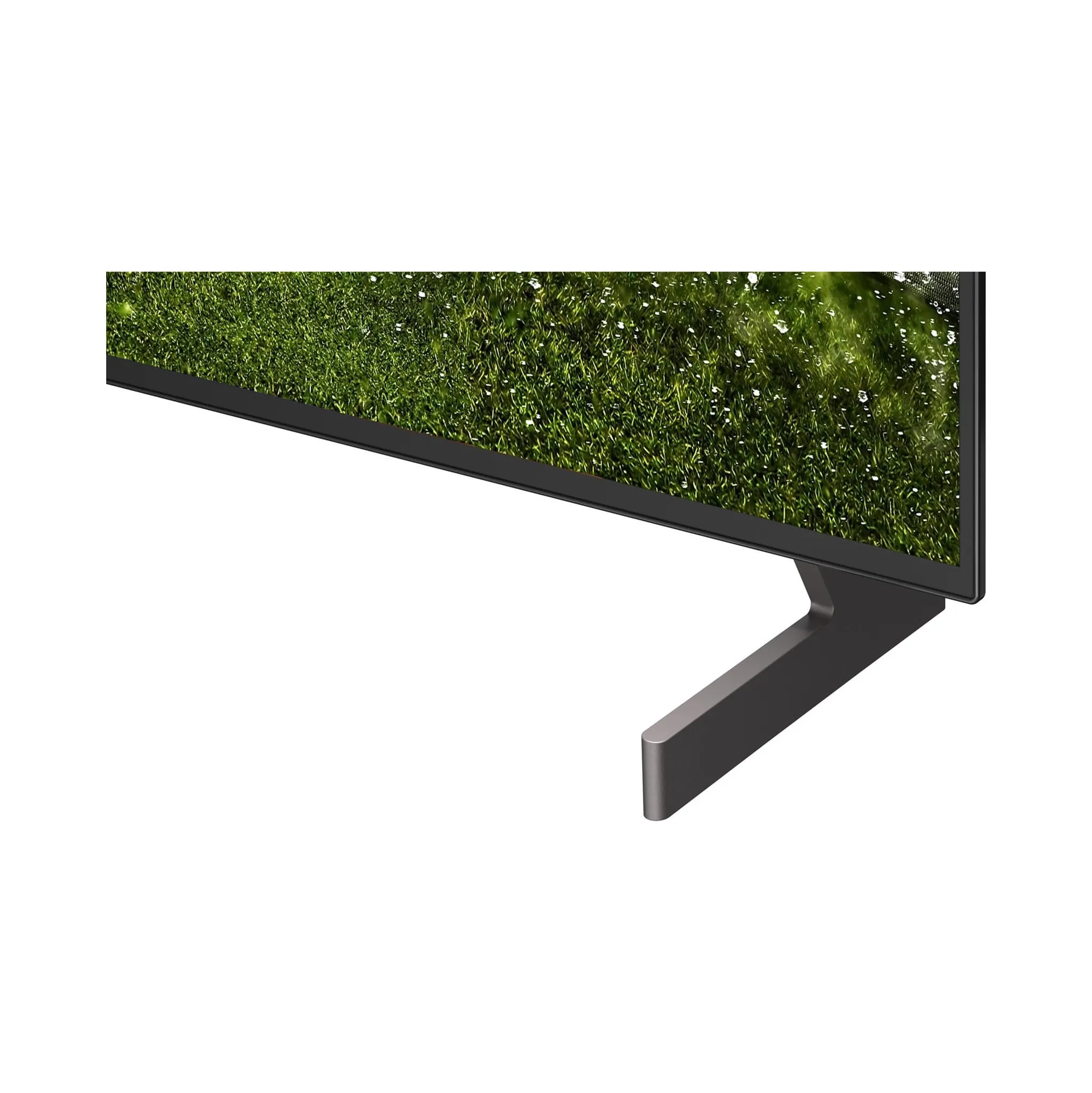 Fotografie 5 - Televizor LG 55" OLED (OLED55B6ELC)