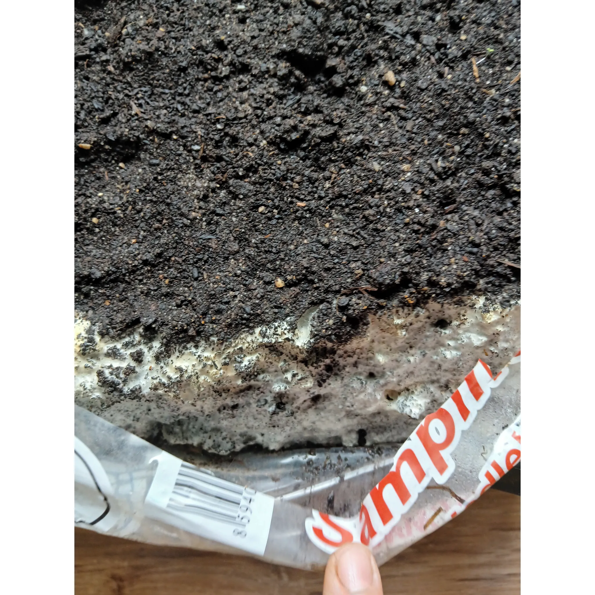 Fotografie 4 - Substrát Nohel Garden Žampionová zahrádka 9 kg