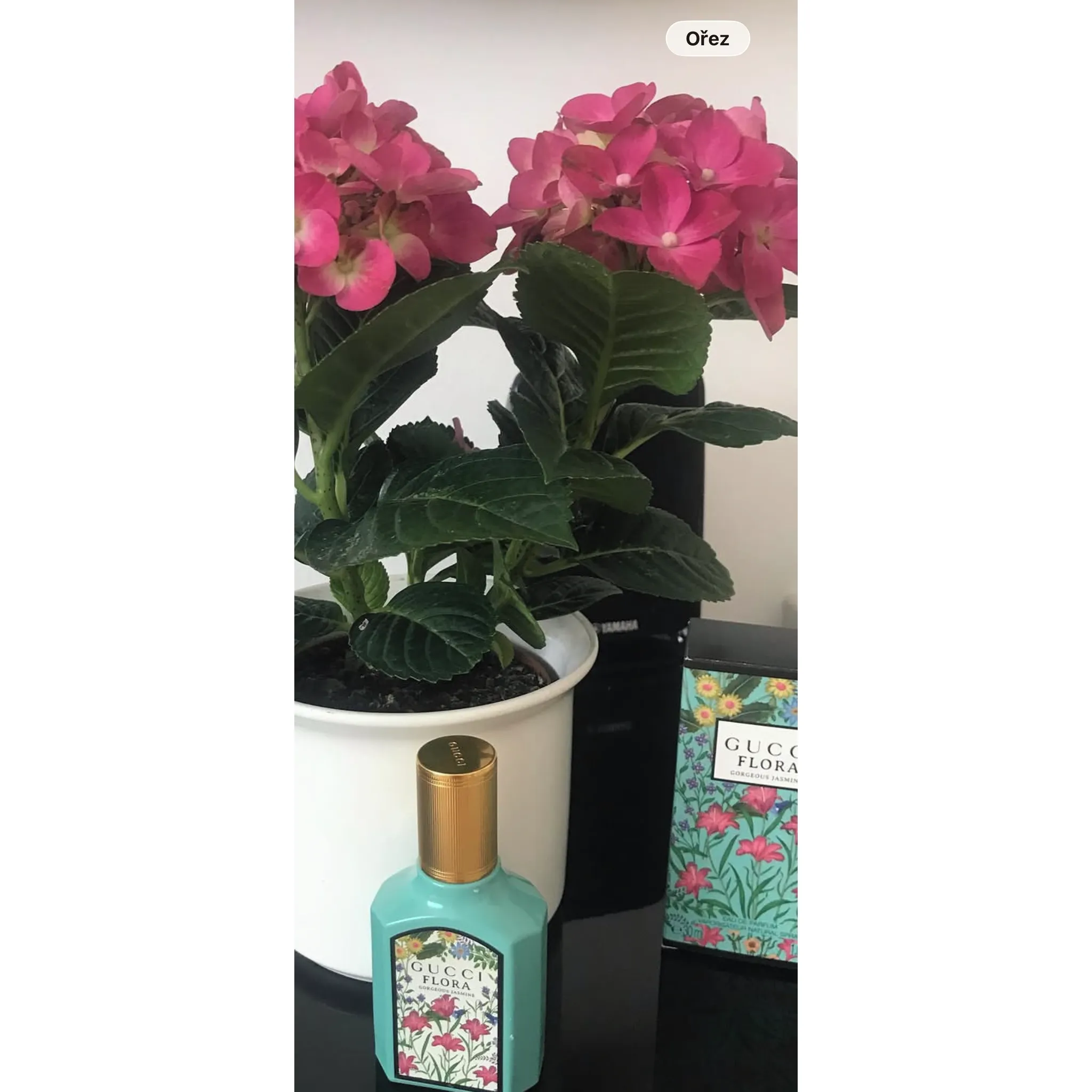 Fotografie 5 - Dámský parfém Gucci Flora Gorgeous Jasmine W EDP 100 ml