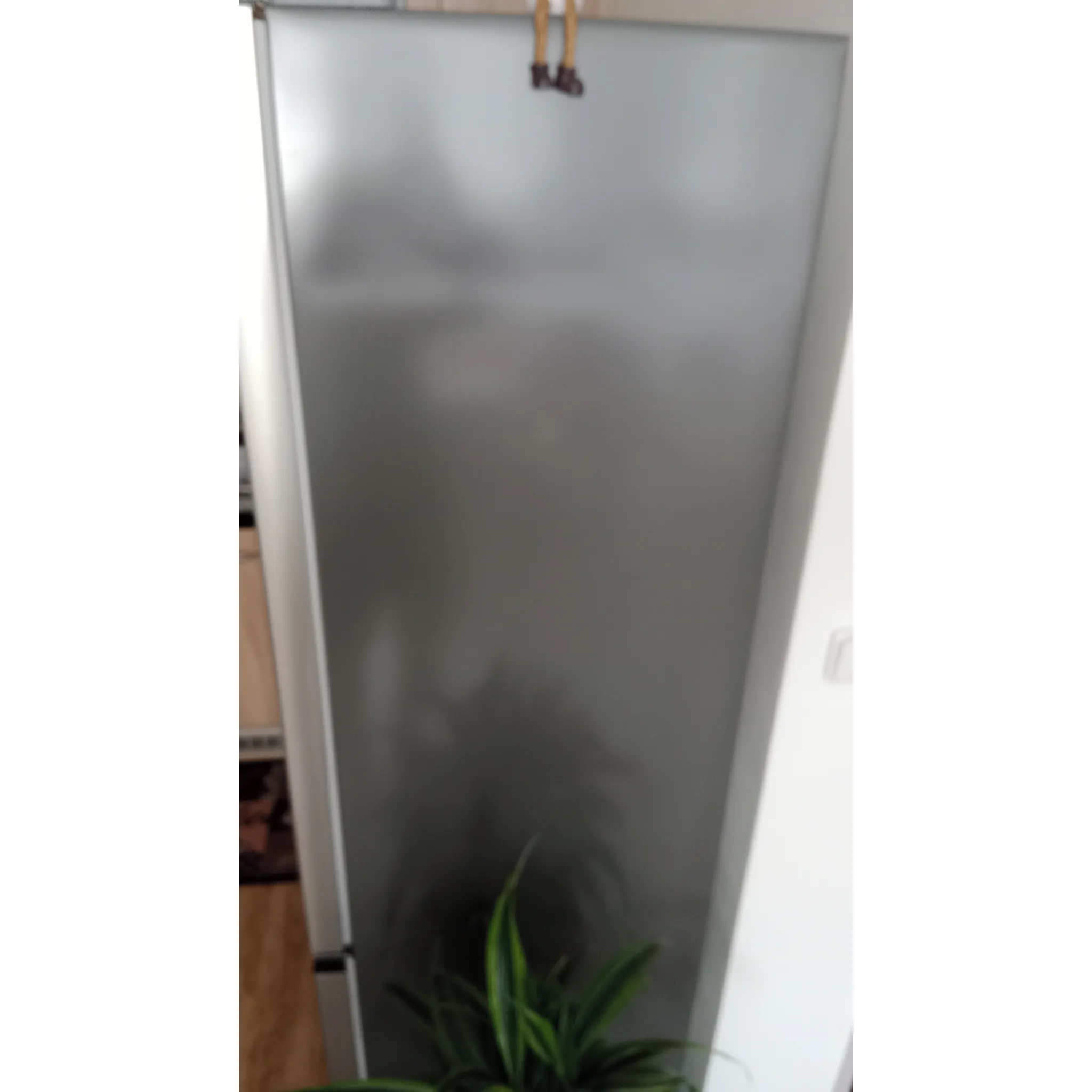 Fotografie 5 - Lednice Hisense RB434N4BCB