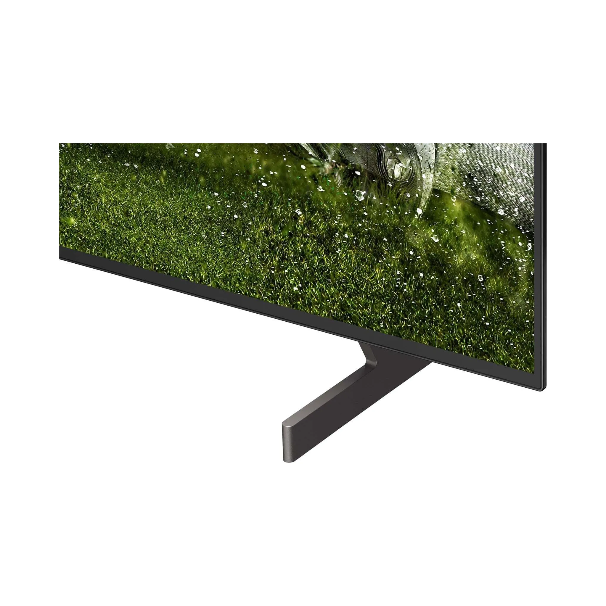 Fotografie 3 - Televizor LG 65" OLED (OLED65B6ELC)