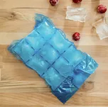 Paclan Sáčky na led XXL