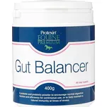 Protexin Gut Balancer 400 g