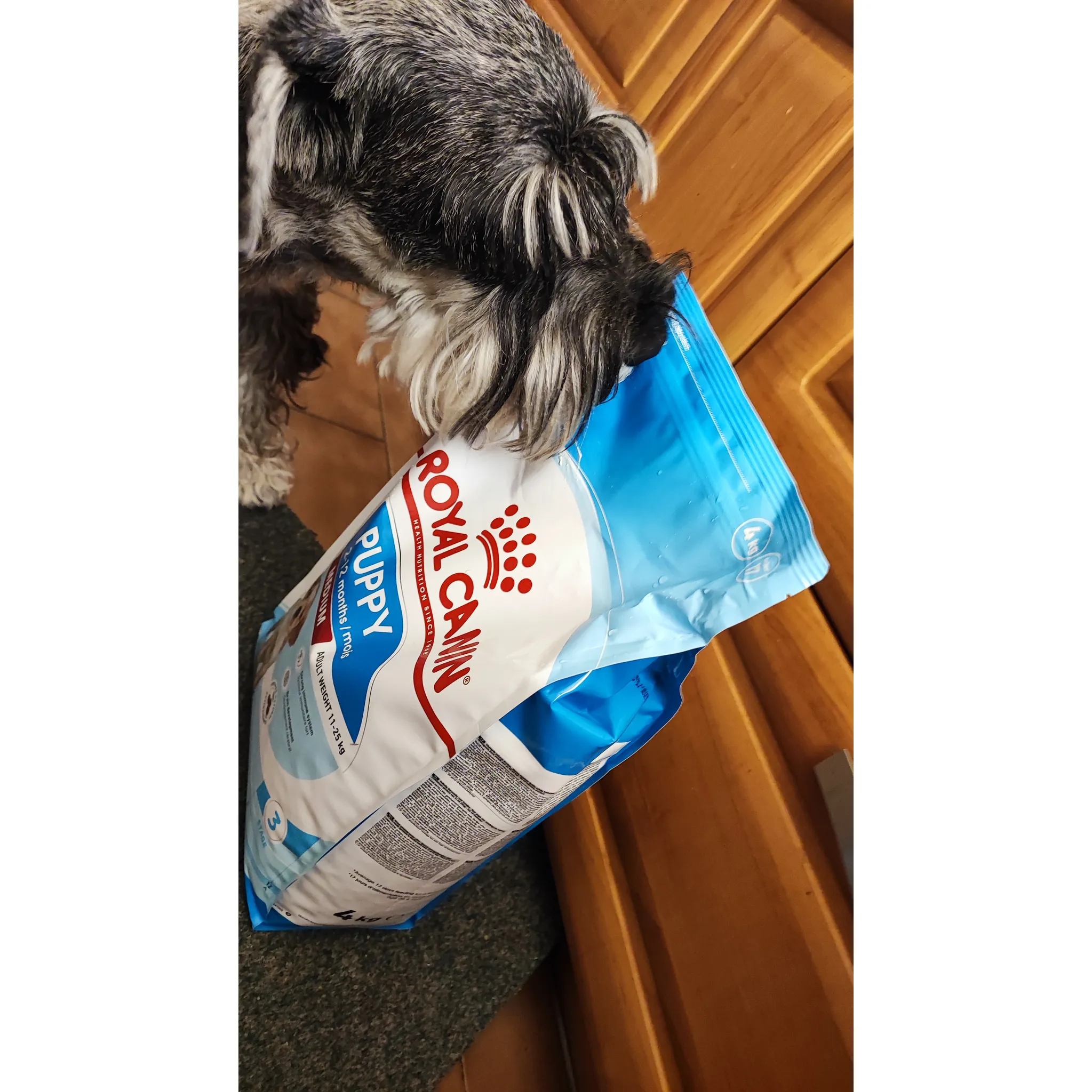Fotografie 2 - Krmivo pro psa Royal Canin Medium Puppy 1 kg