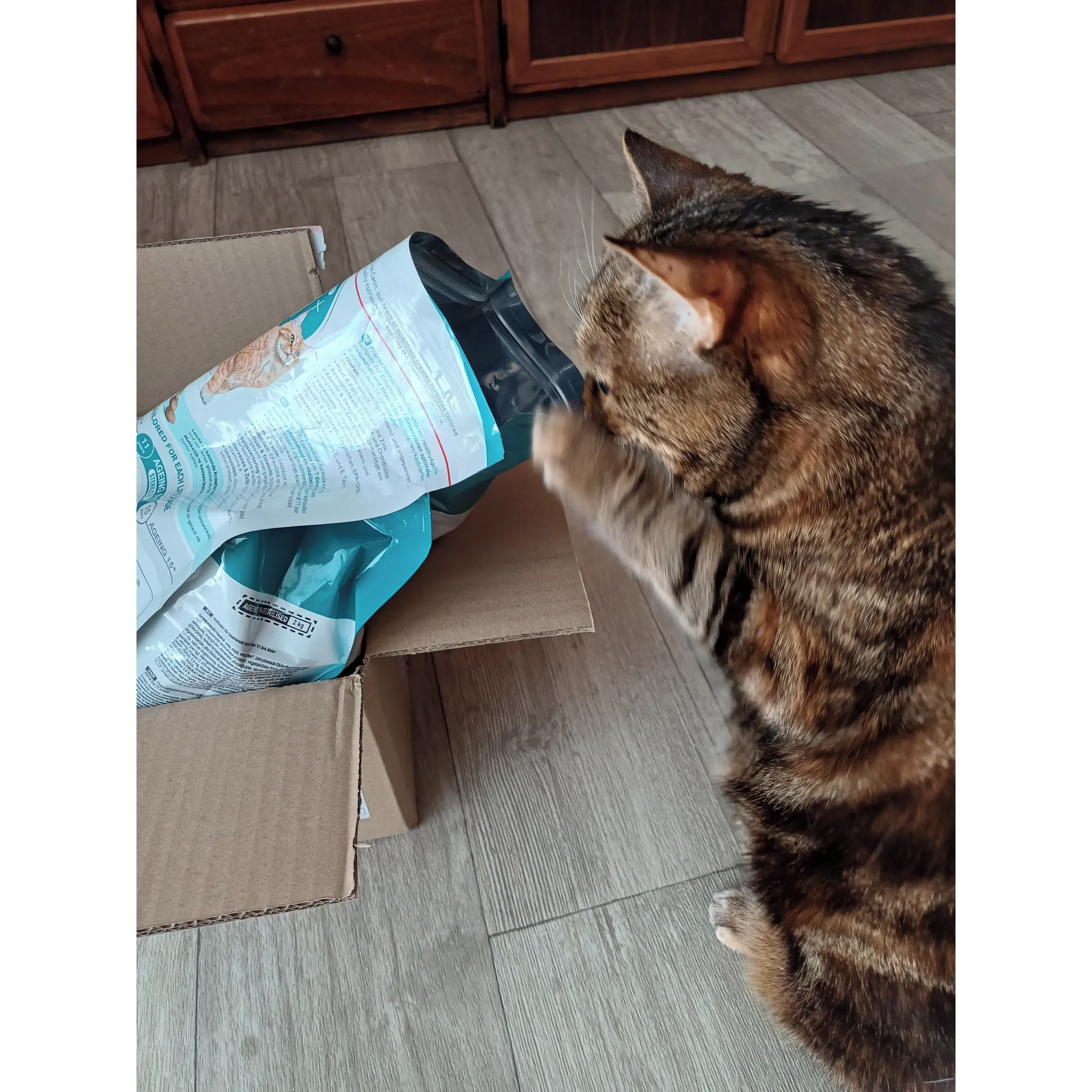 Fotografie 2 - Krmivo pro kočku Royal Canin Ageing Sterilised 11 Plus 2 kg
